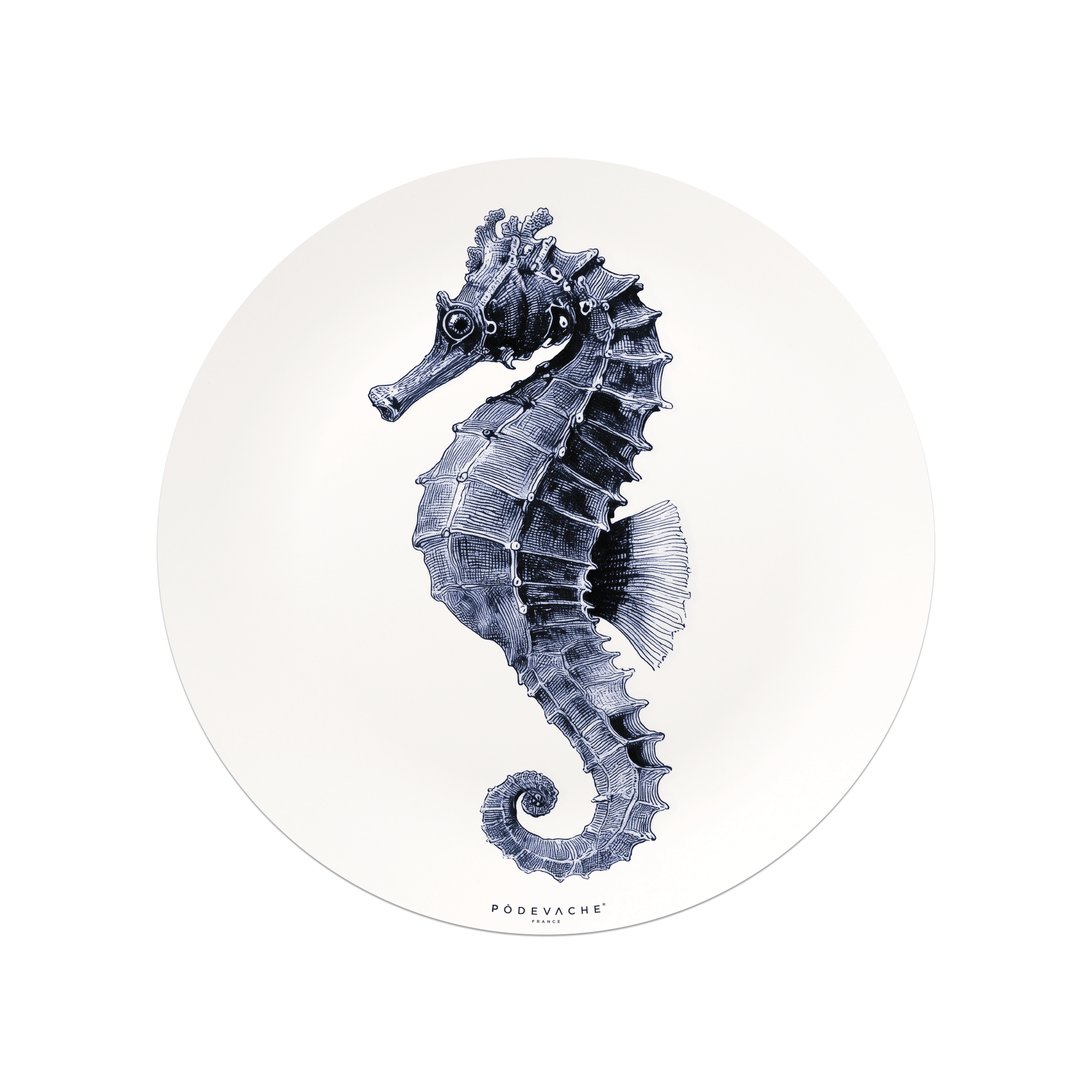 Set De Table Vinyle Guttulatus