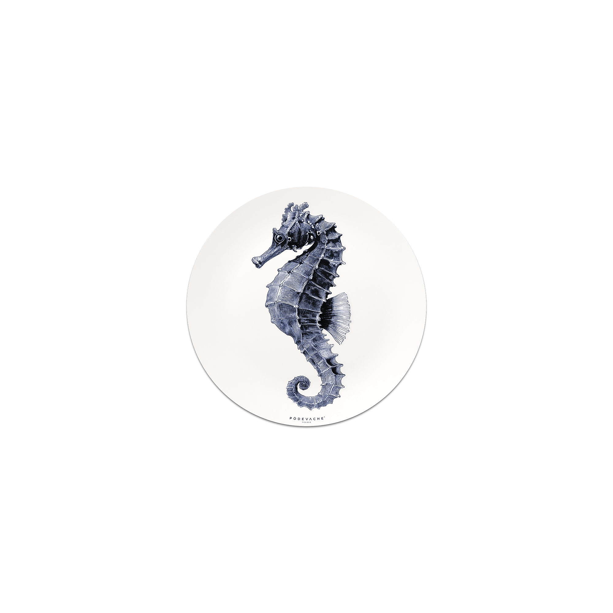 Lot De 6 Dessous De Verre Vinyle Guttulatus