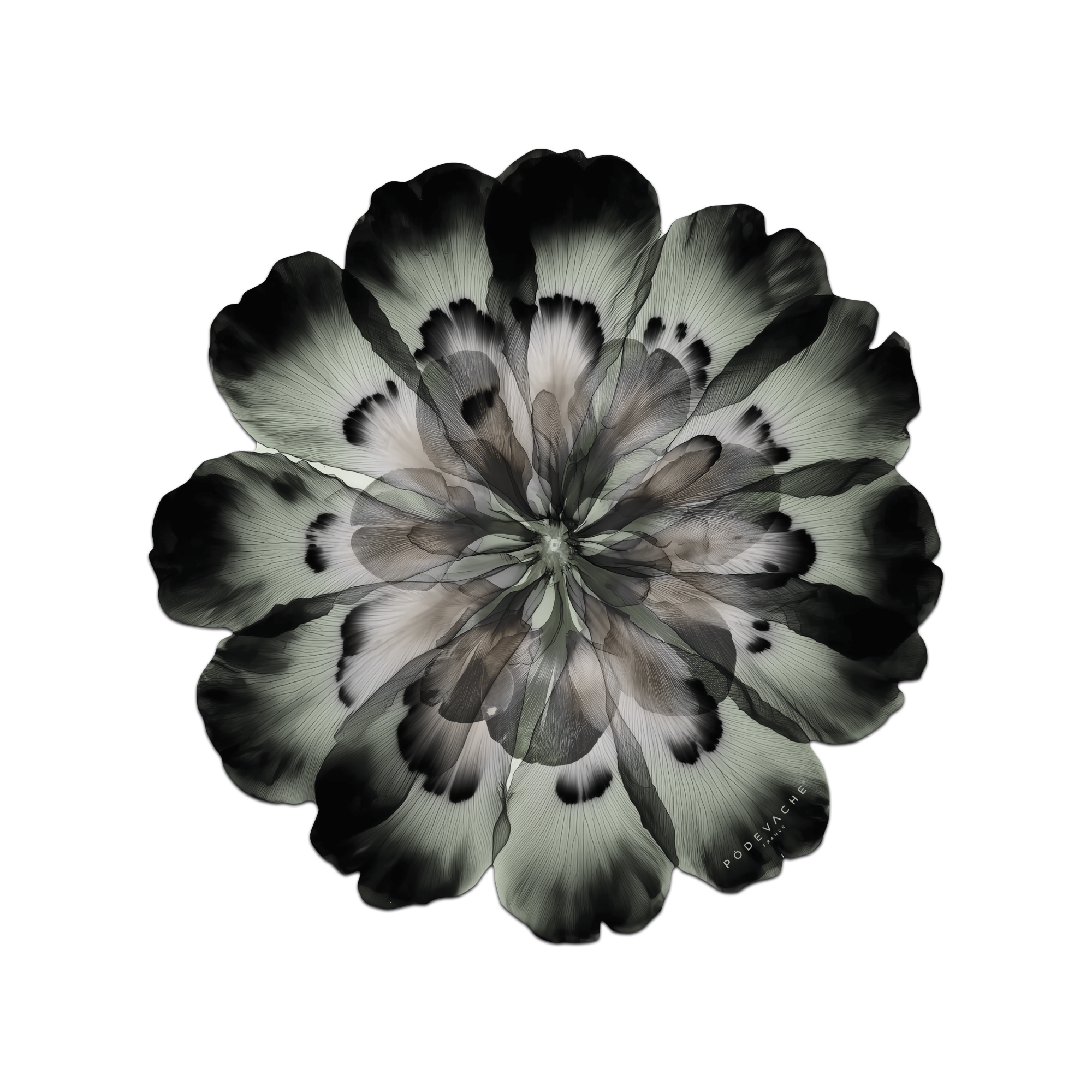 Set De Table Vinyle Floral Corolleo