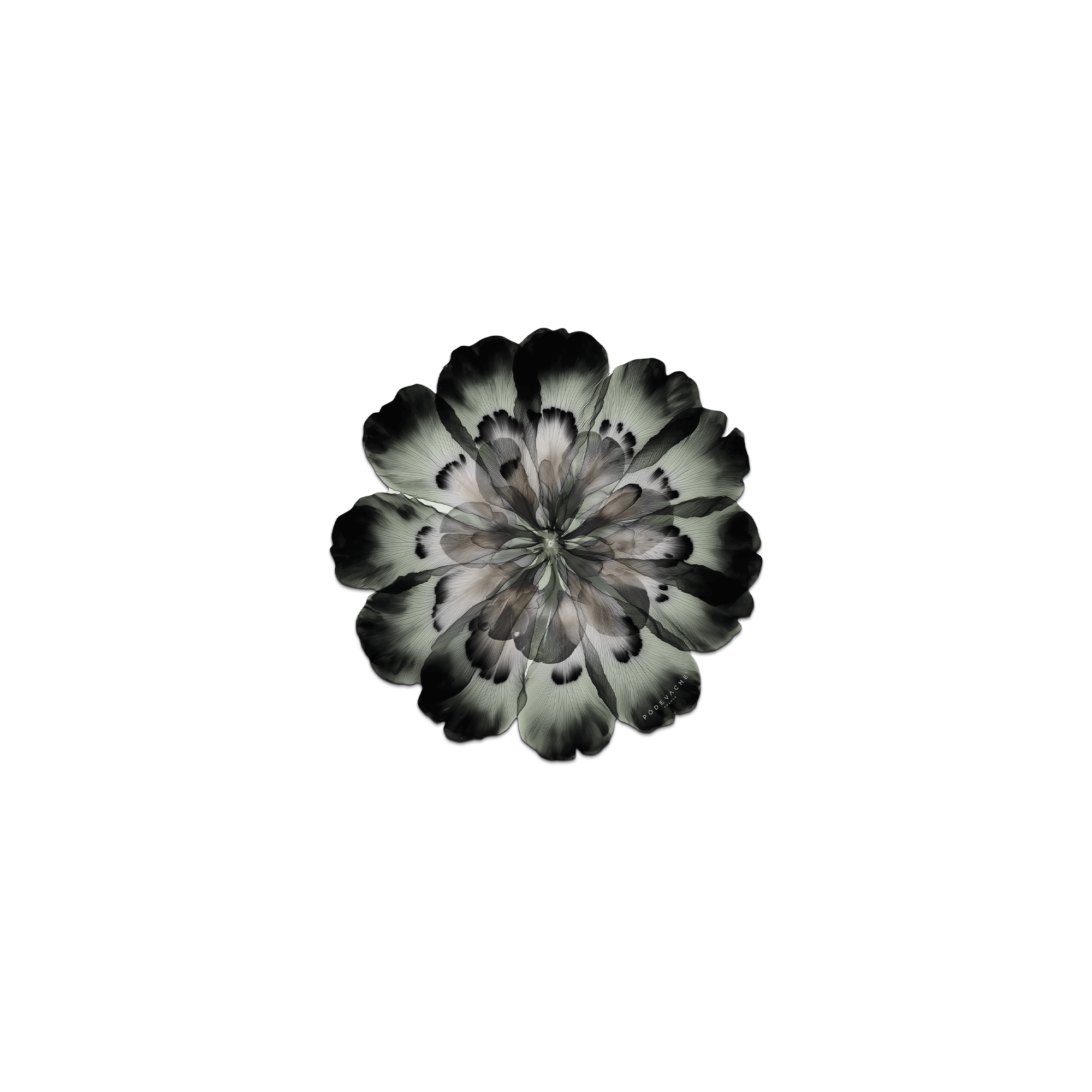 Lot De 6 Dessous De Verre Vinyle Corolleo