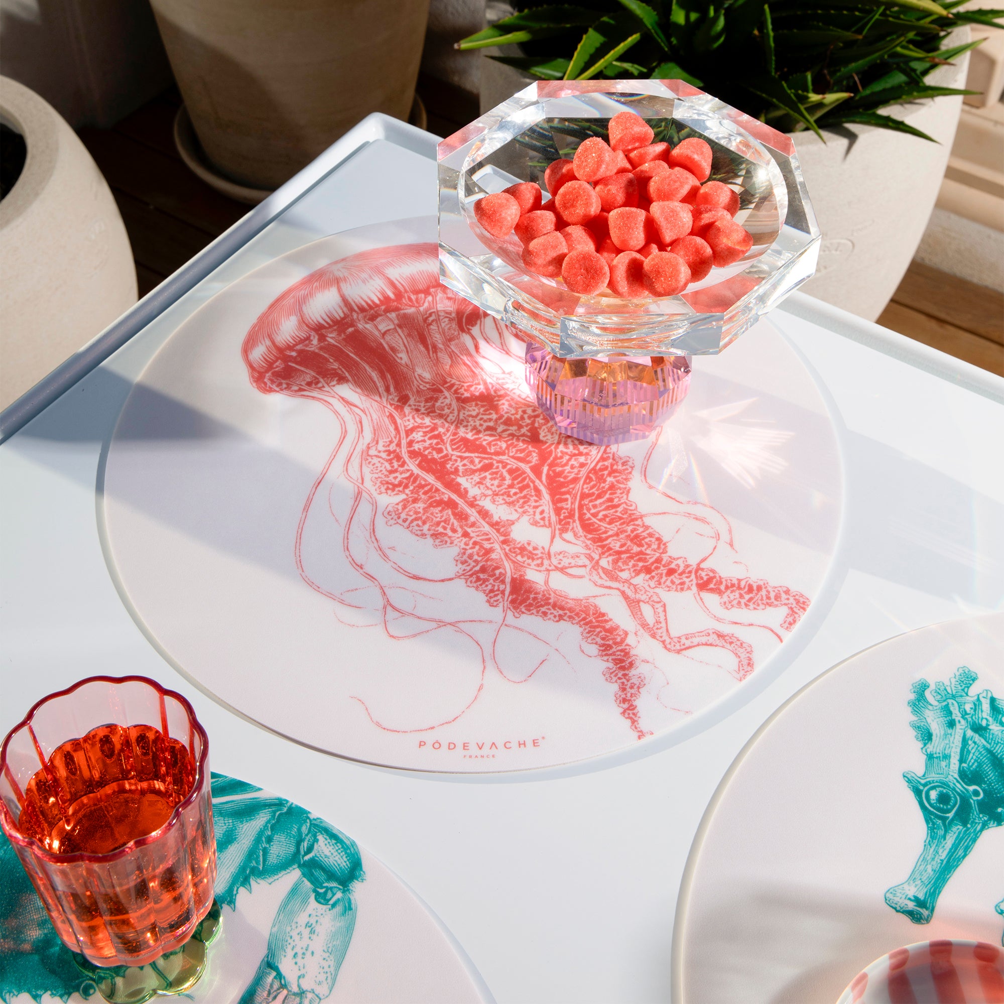 Set De Table Vinyle Euryale