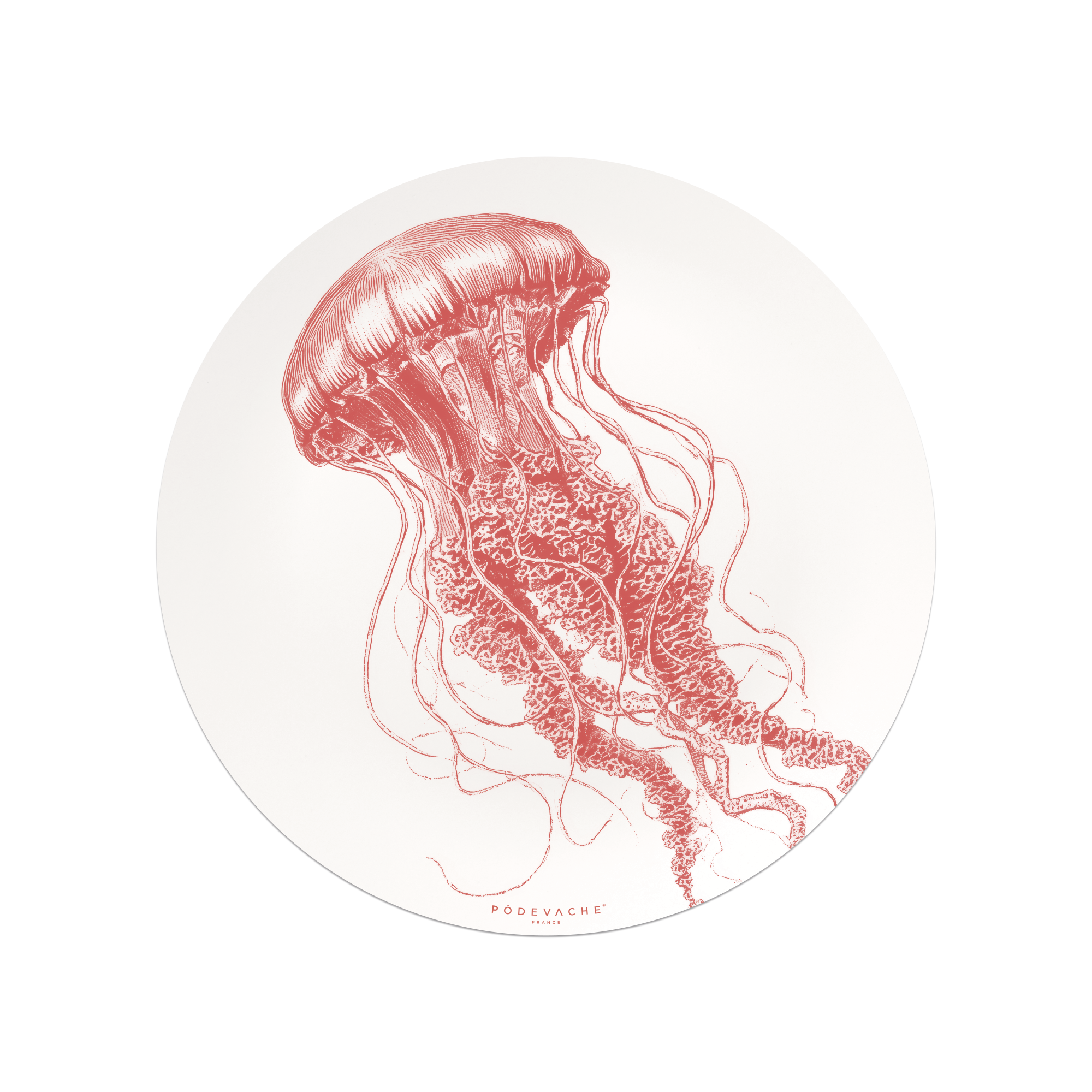 Set De Table Vinyle Euryale