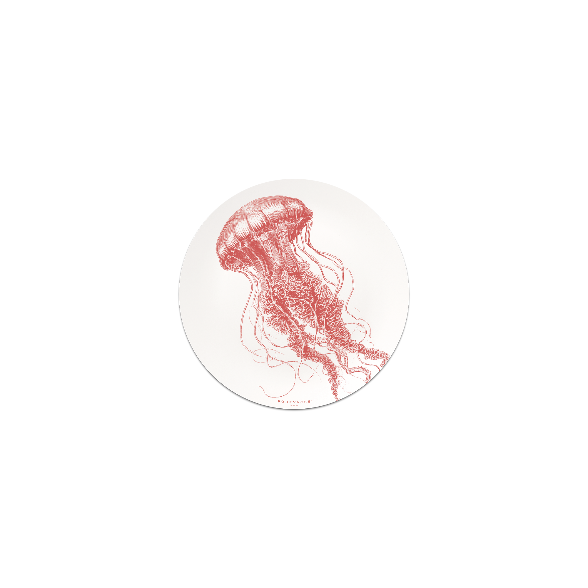 Lot De 6 Dessous De Verre Vinyle Euryale