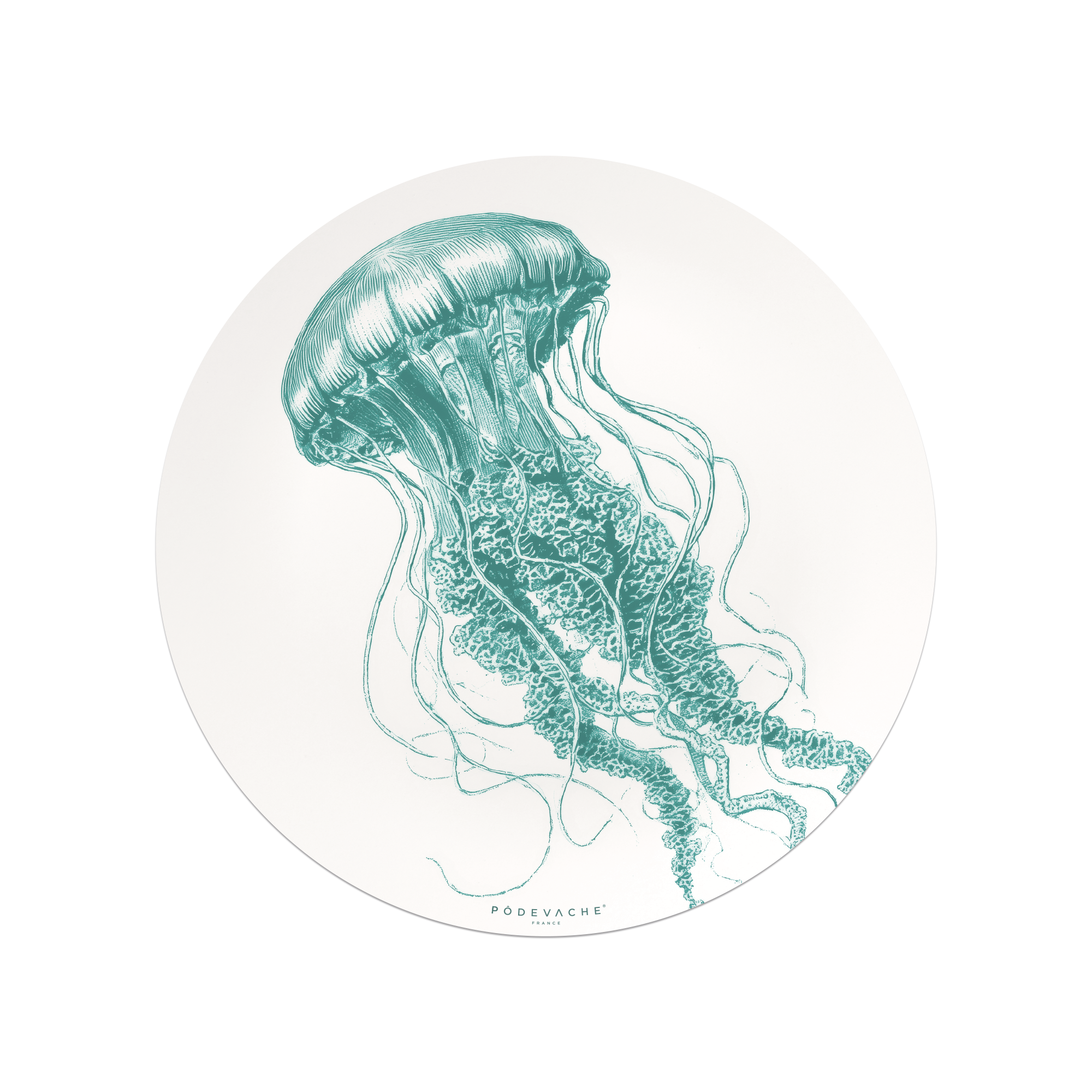 Set De Table Vinyle Euryale