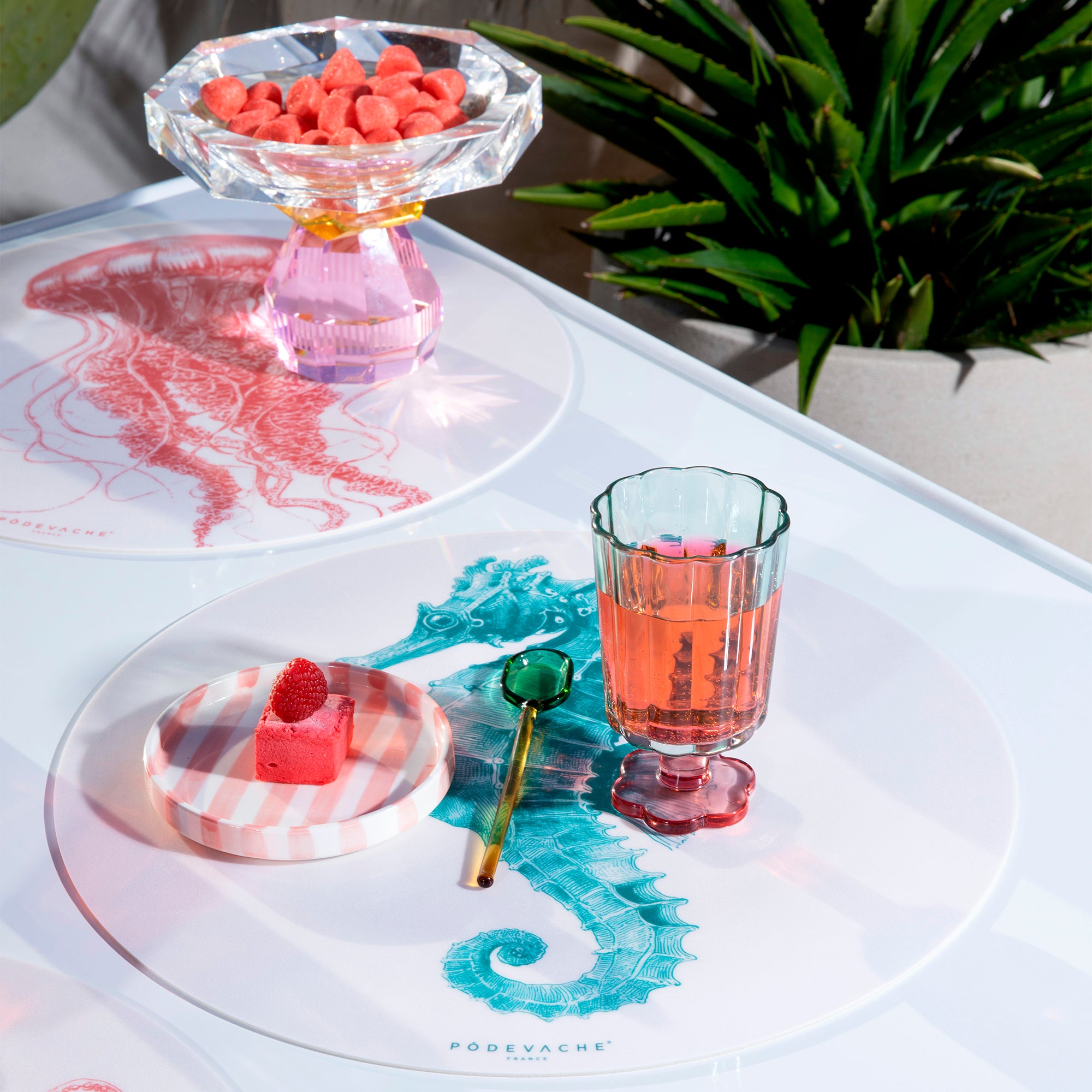 Set De Table Vinyle Guttulatus