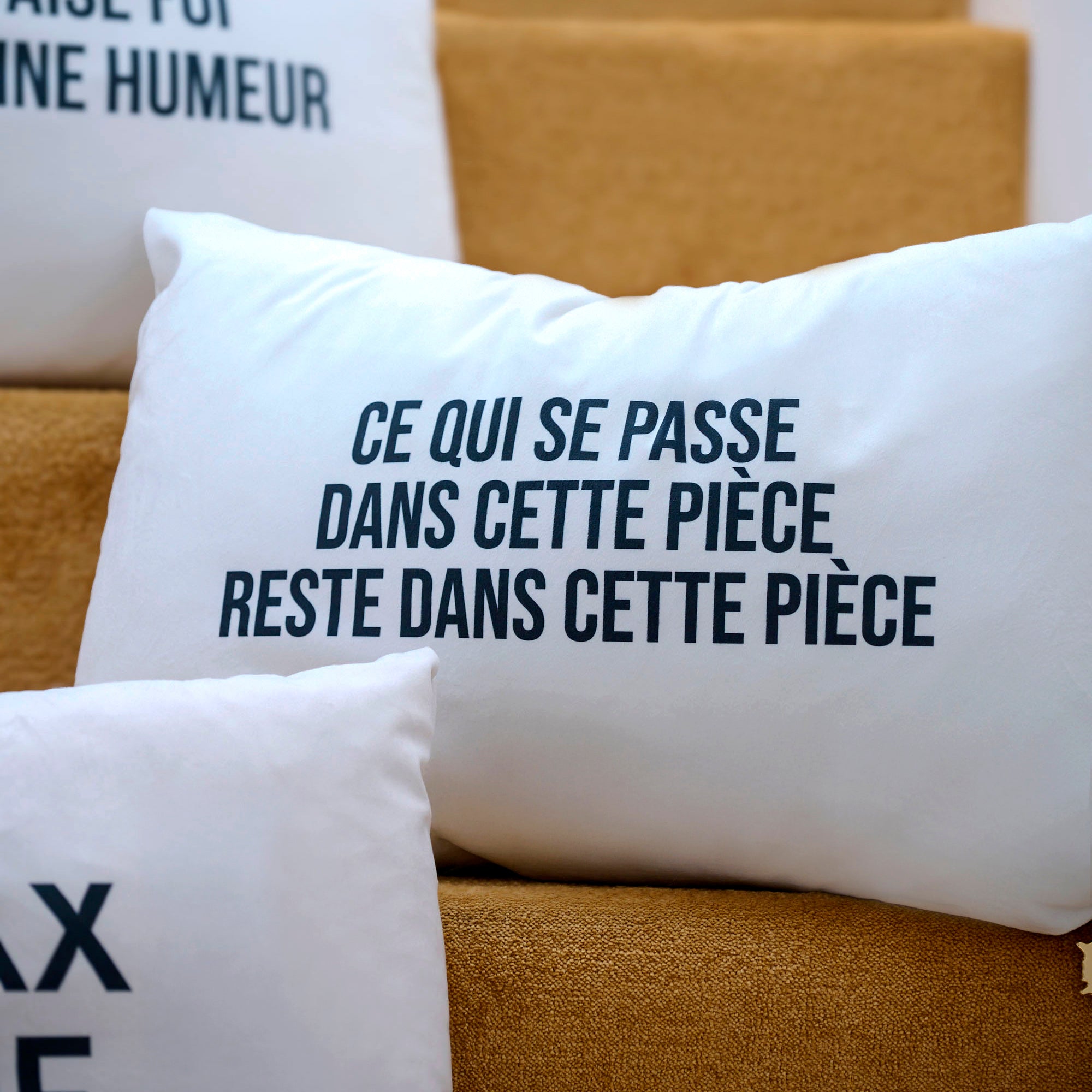 Coussin Velours Piece