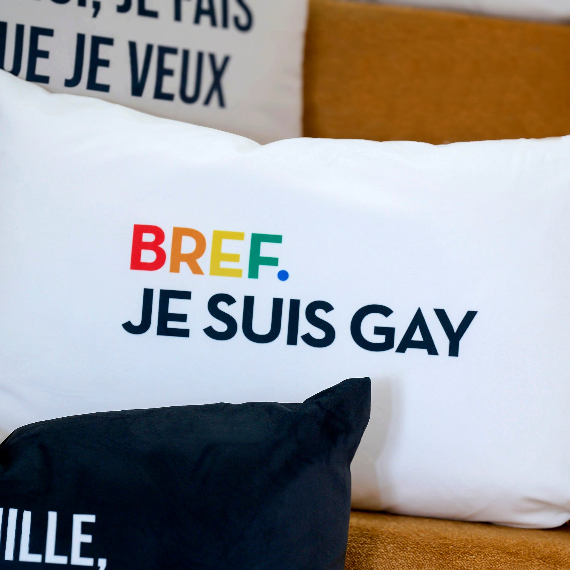 Coussin Velours Gay