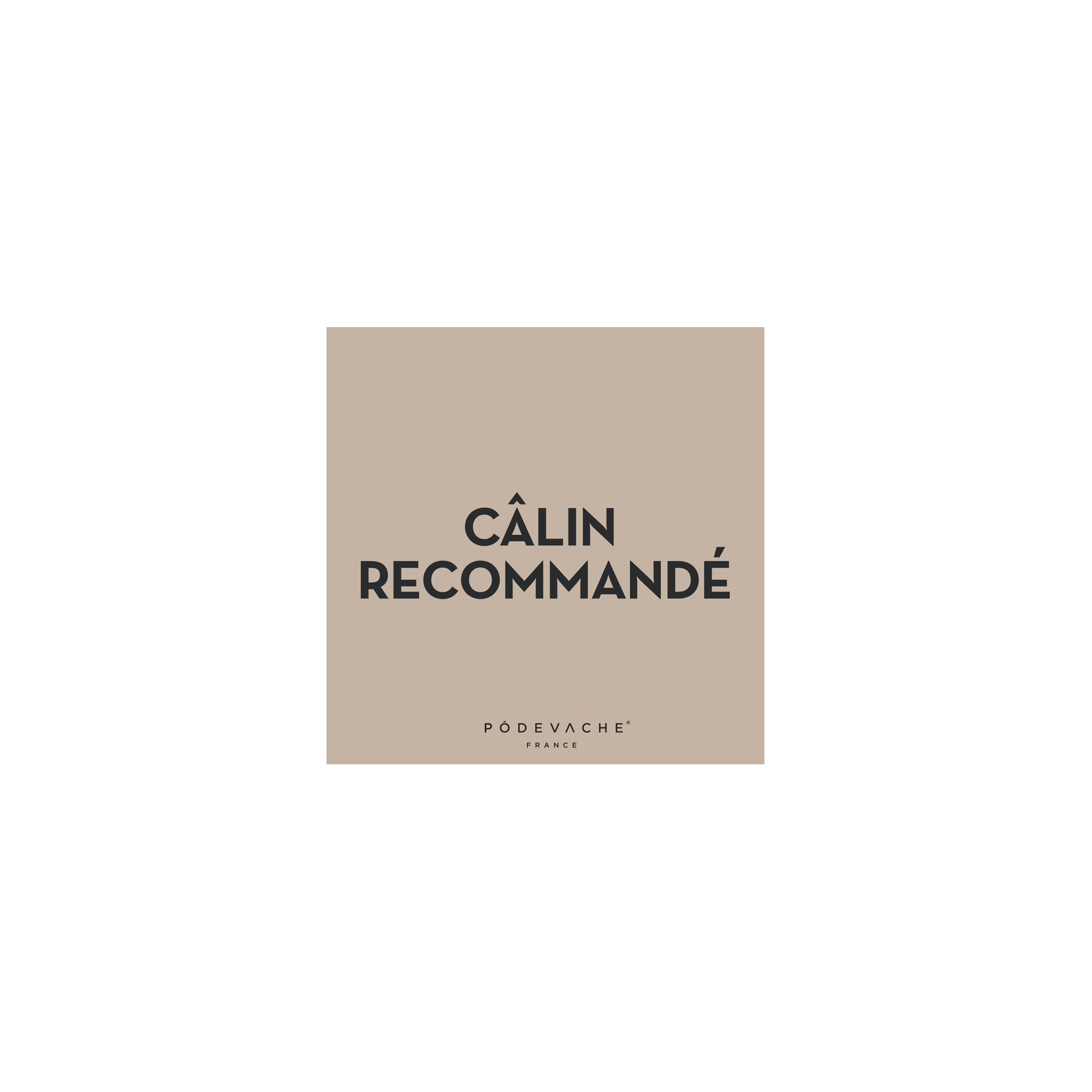 Lot de 6 dessous de verre vinyle Calin à Volonté