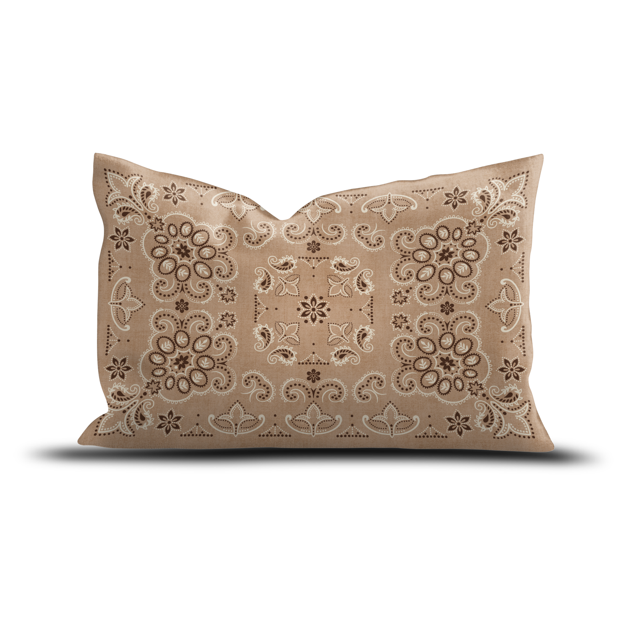 Coussin velours Casimir