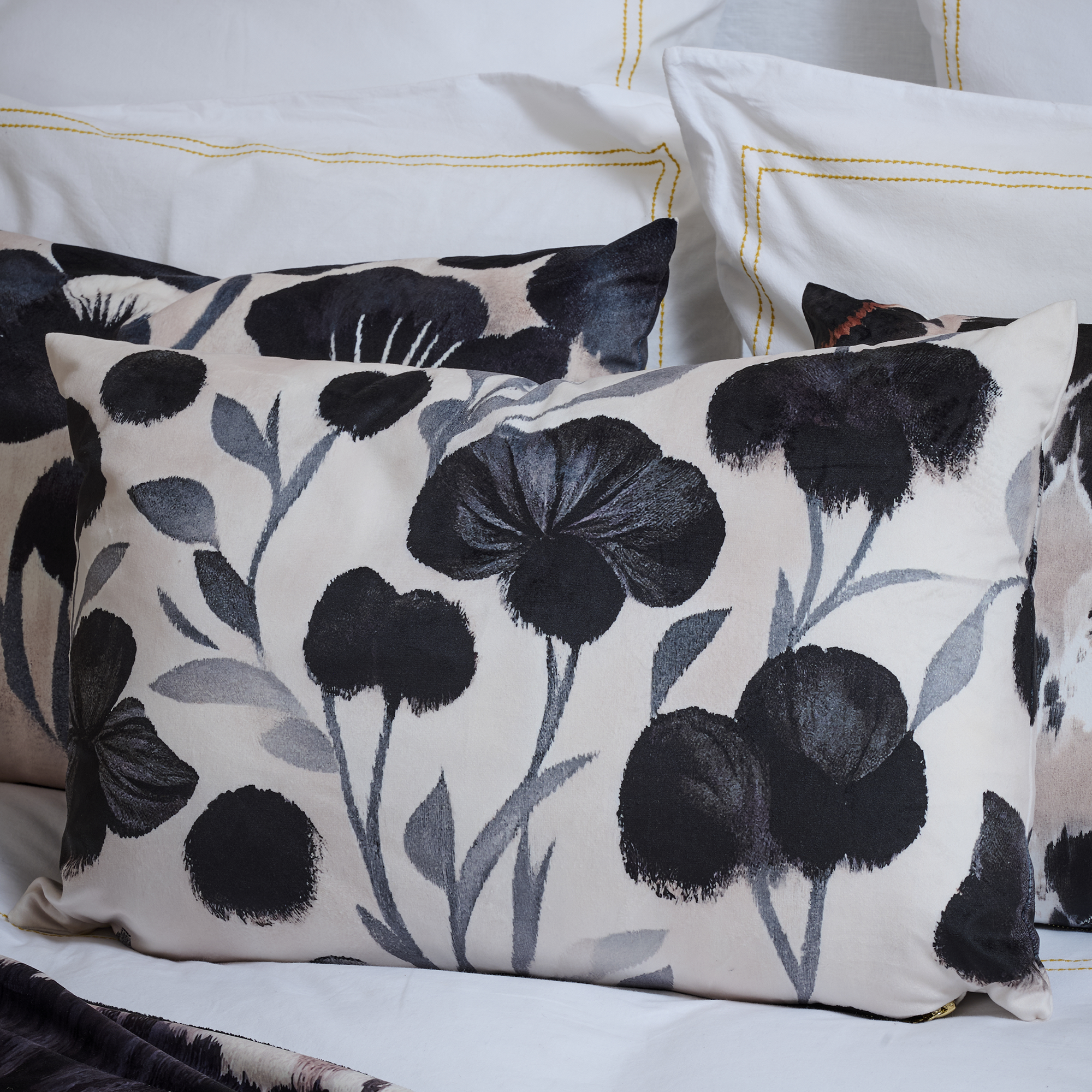 Coussin velours Purisma