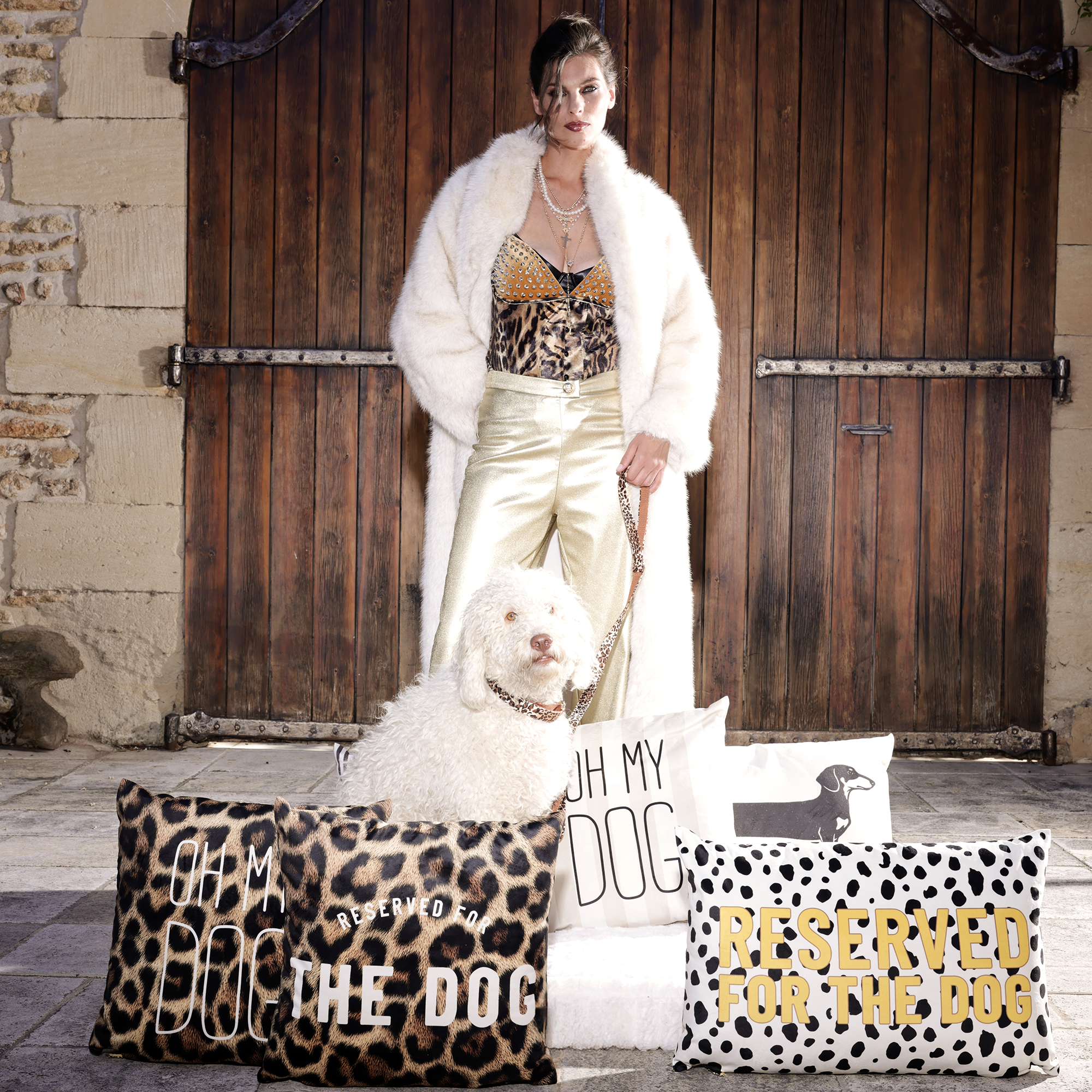 Coussin velours Leo Dog