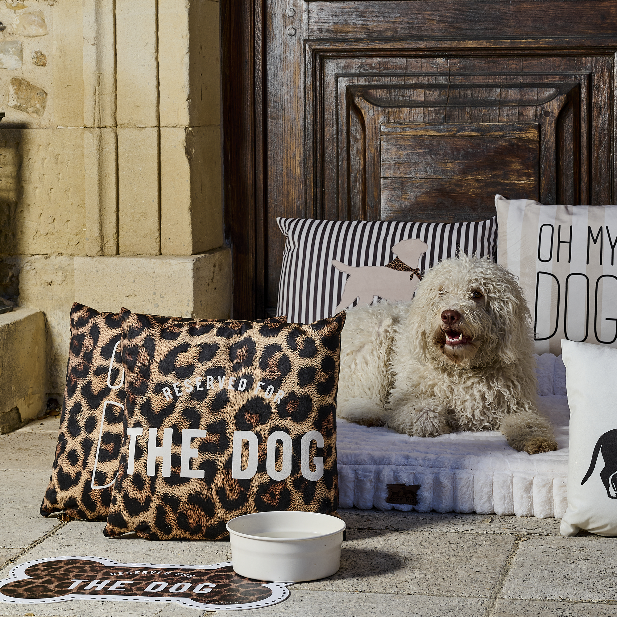 Coussin velours Oh My Dog