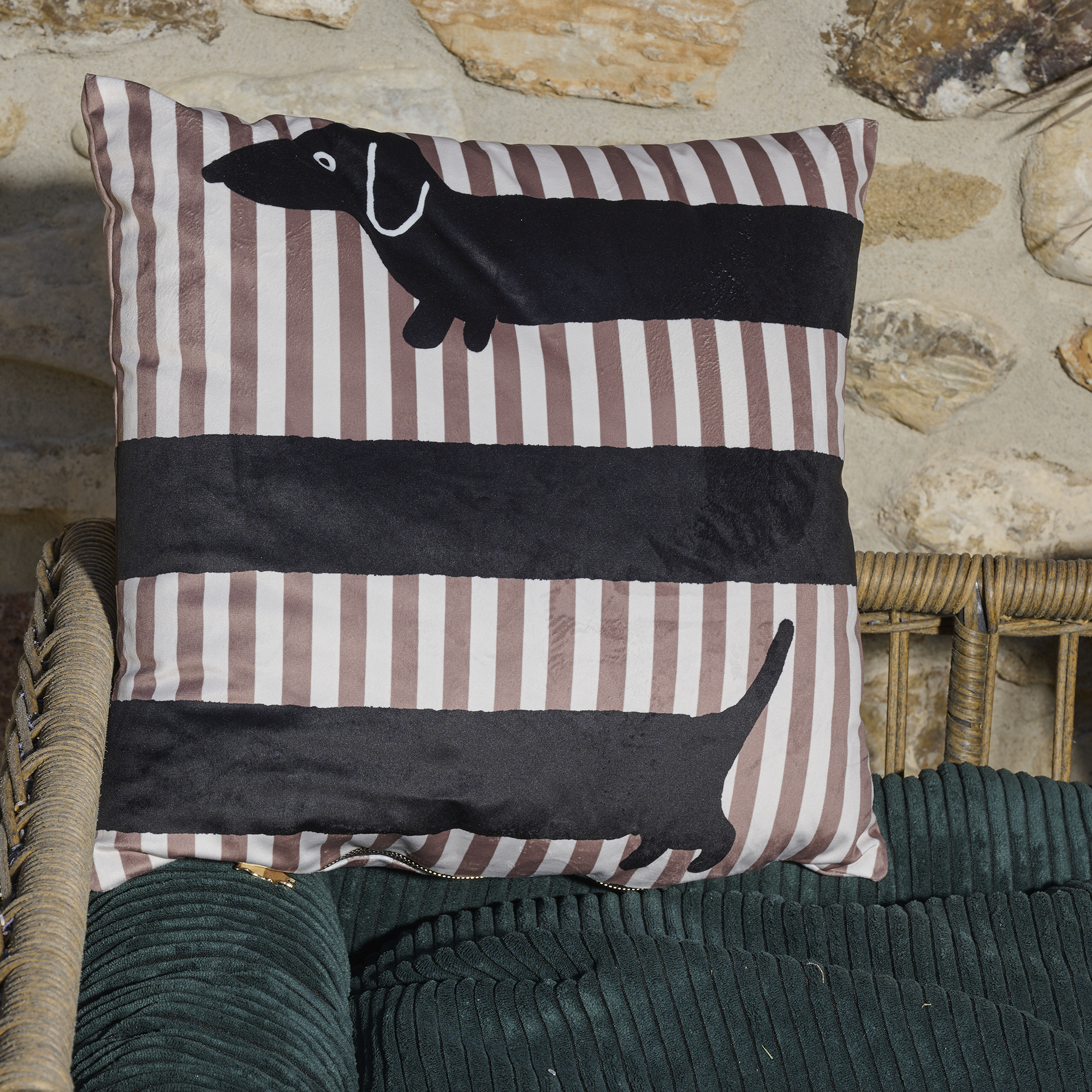 Coussin velours Long Teckel