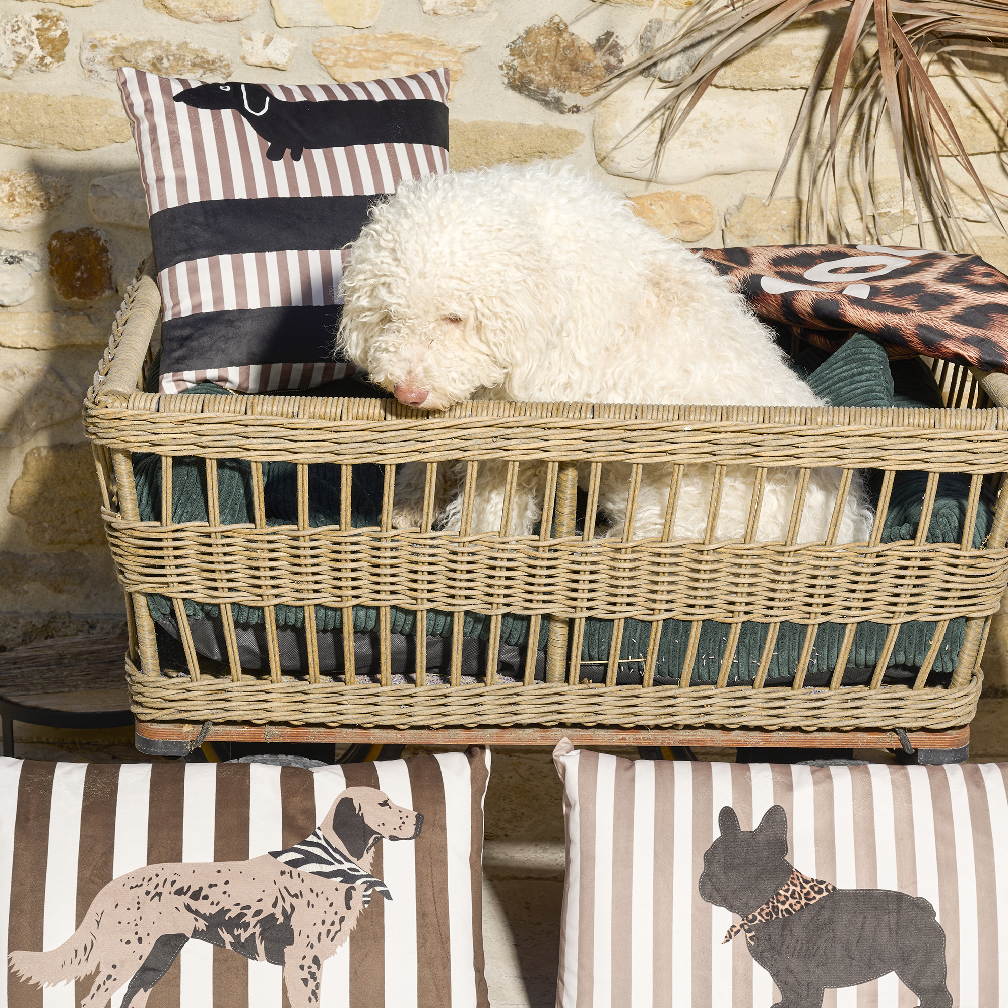Coussin velours Long Teckel