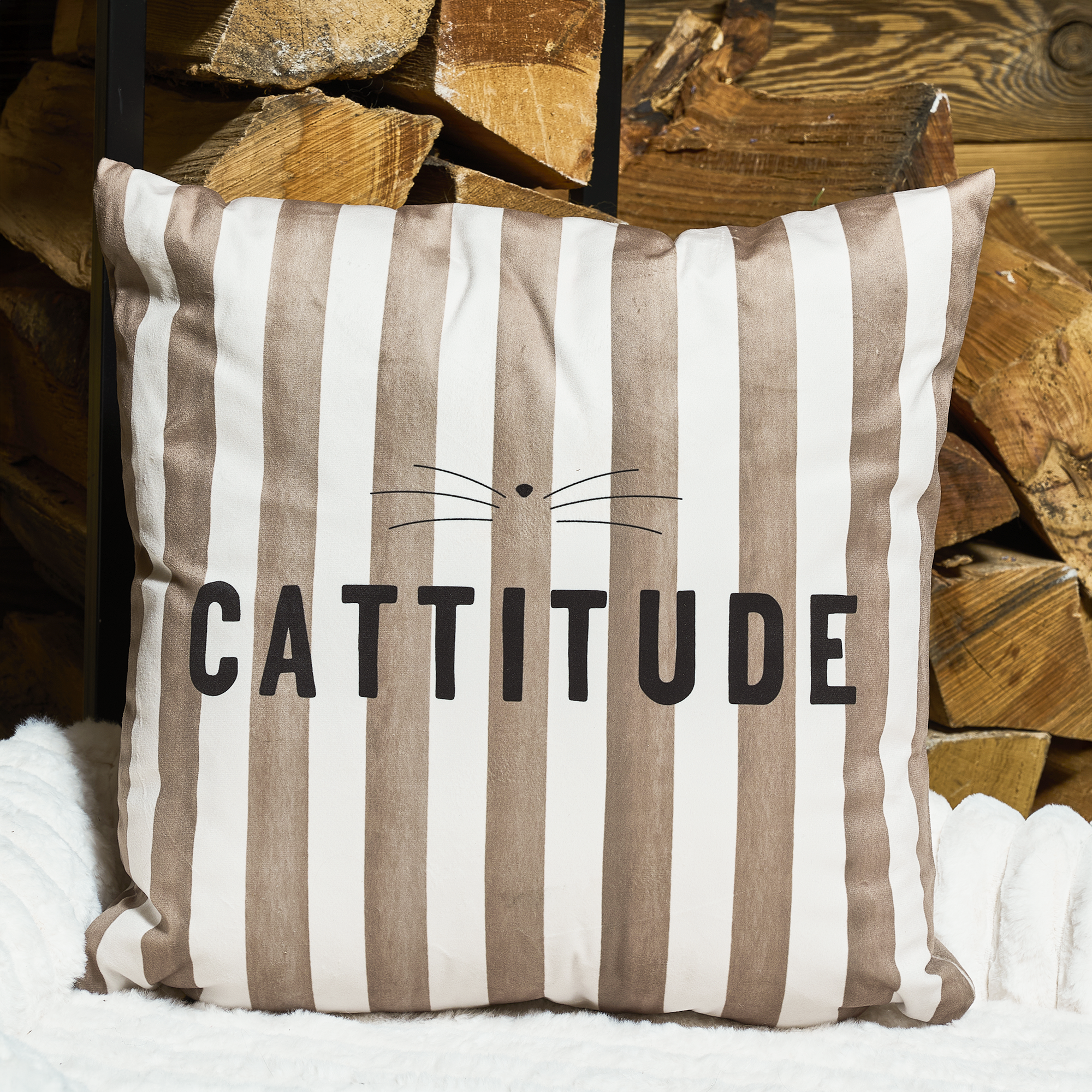 Coussin velours Cattitude