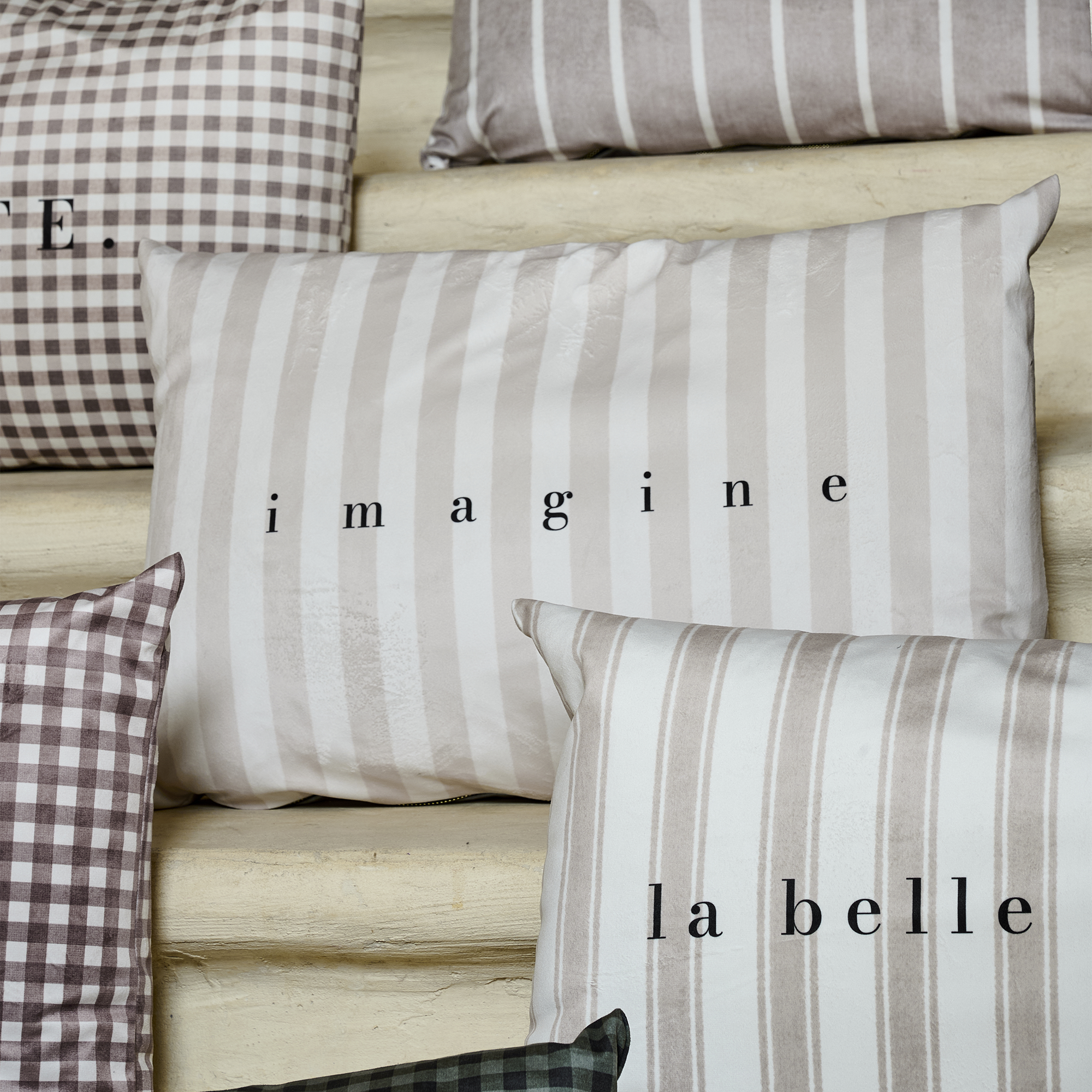 Coussin velours Imagine