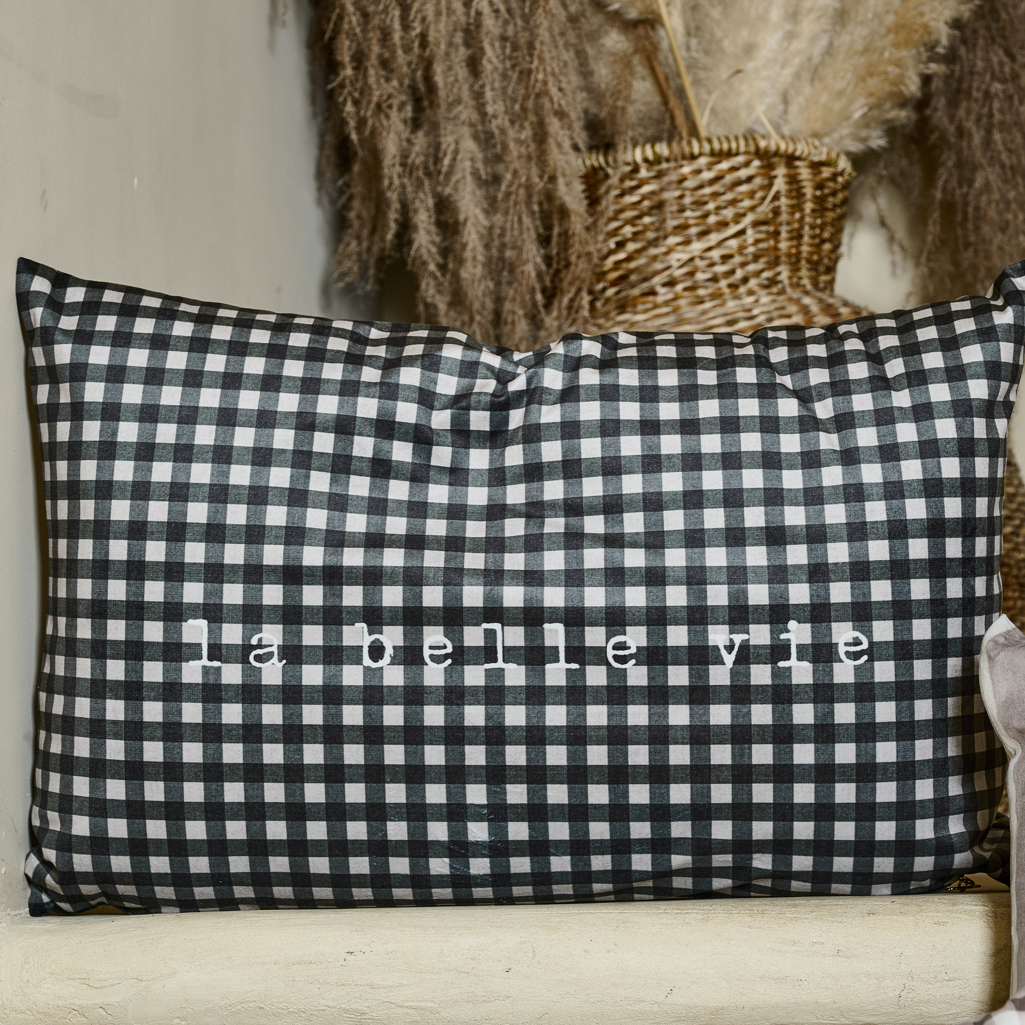 Coussin velours Belle Vie