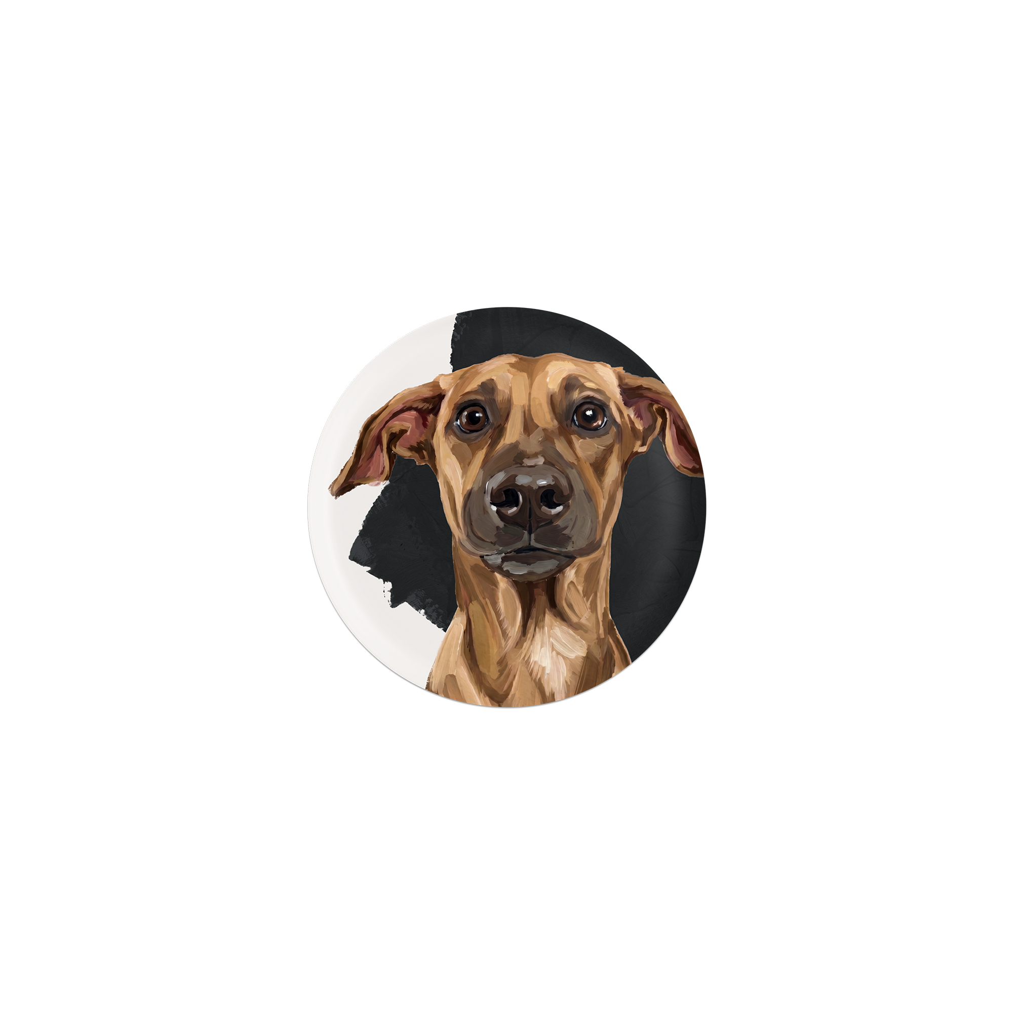 Lot de 6 dessous de verre Vinyle Whippet