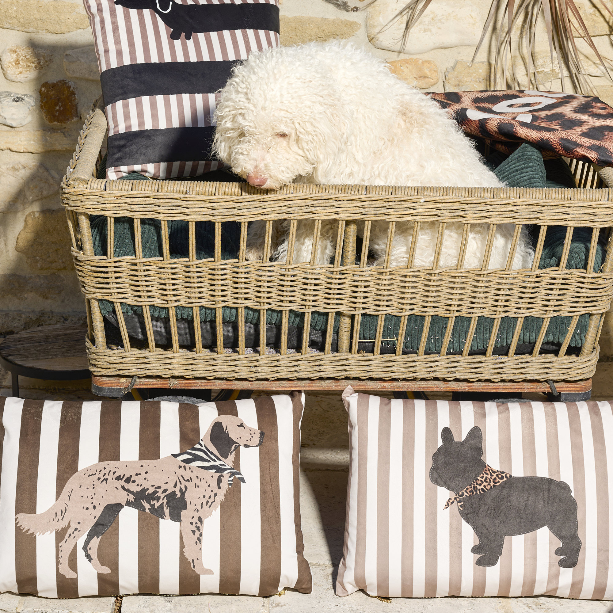 Coussin velours Stripes Big Dog