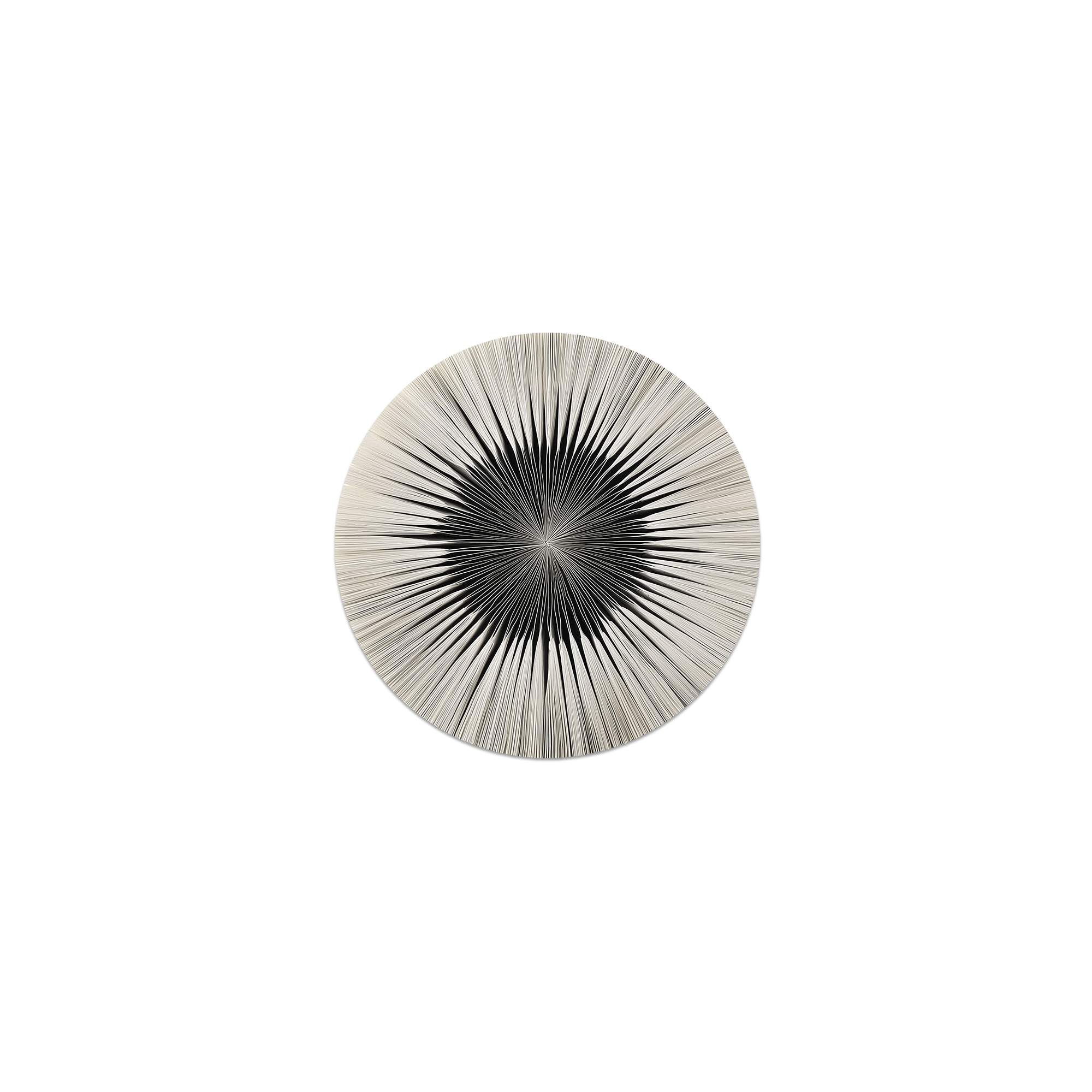 Lot de 6 dessous de verre vinyle Angelim