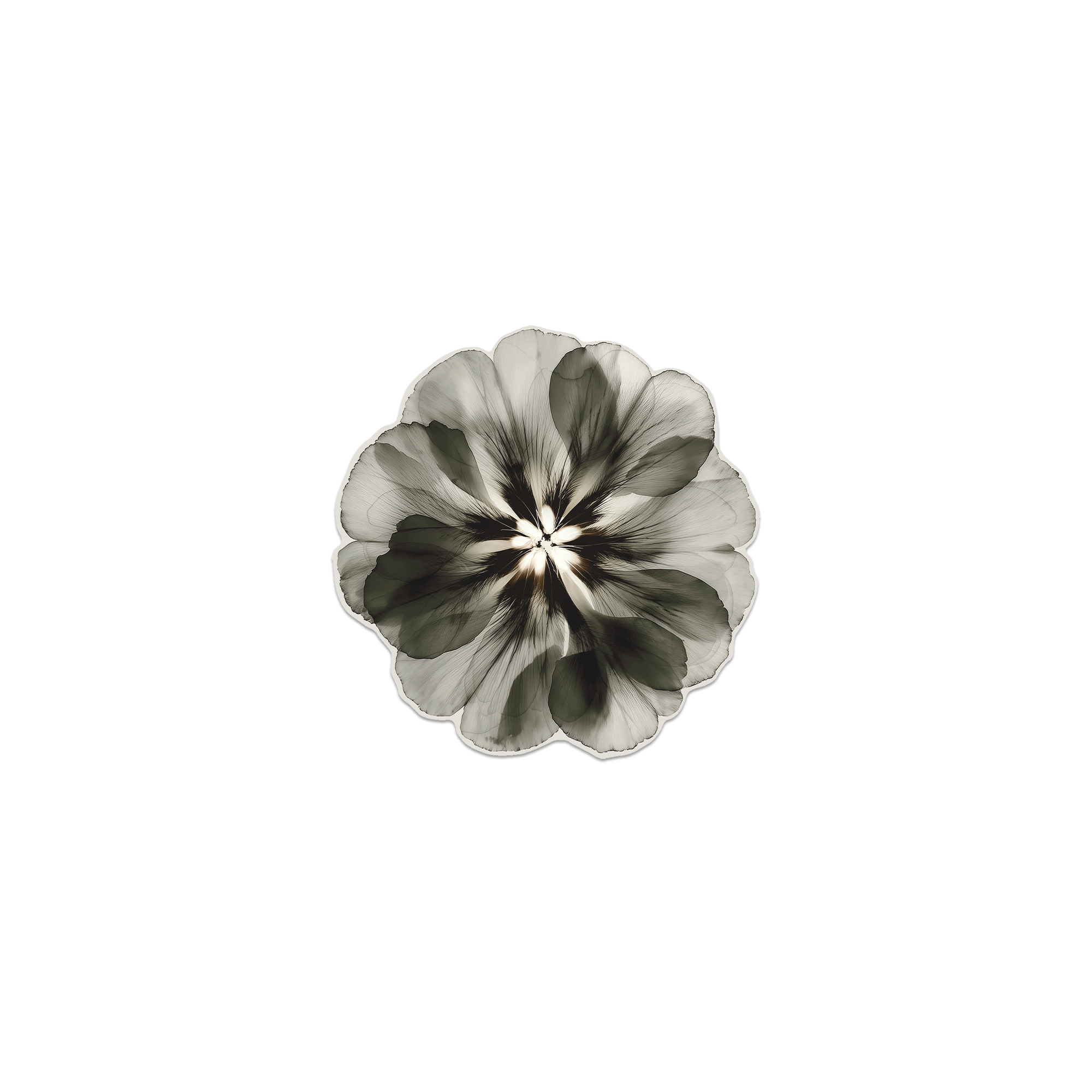 Lot de 6 dessous de verre Vinyle Floral Corollao