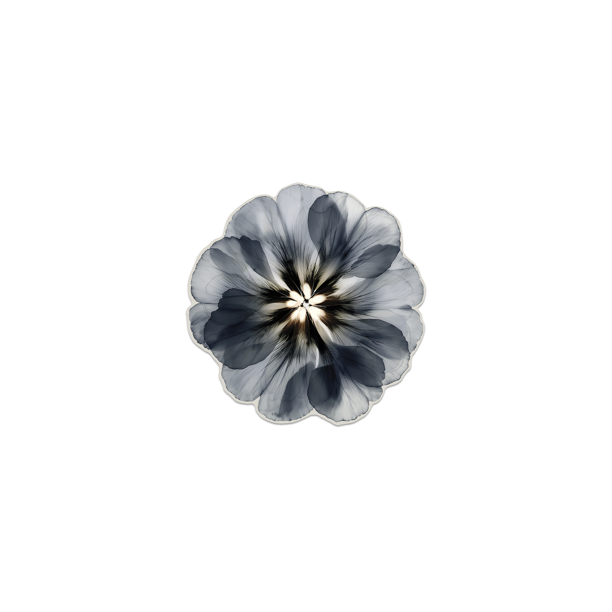 Lot de 6 dessous de verre Vinyle Floral Corollao