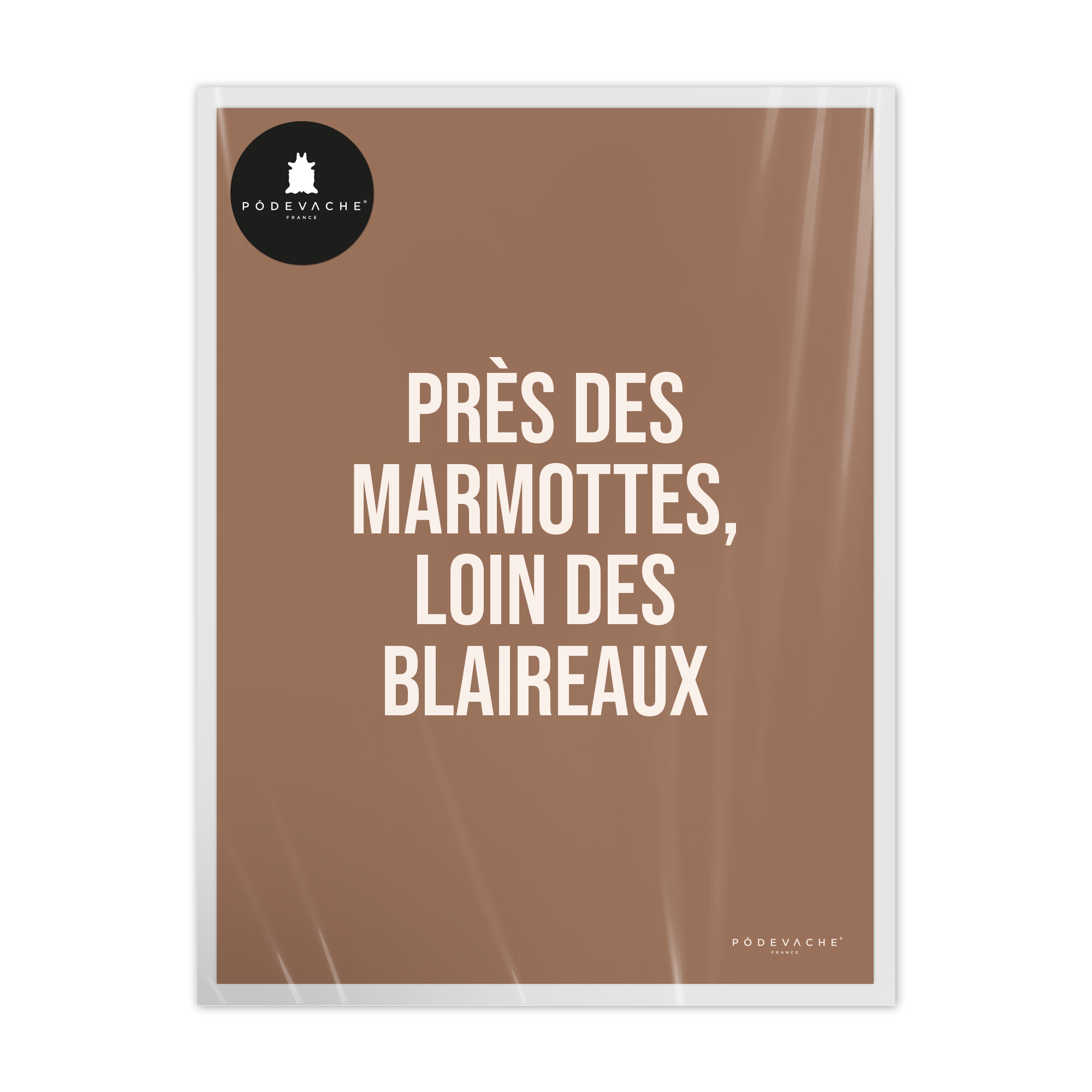 Affiche ou affiche encadrée Marmotte