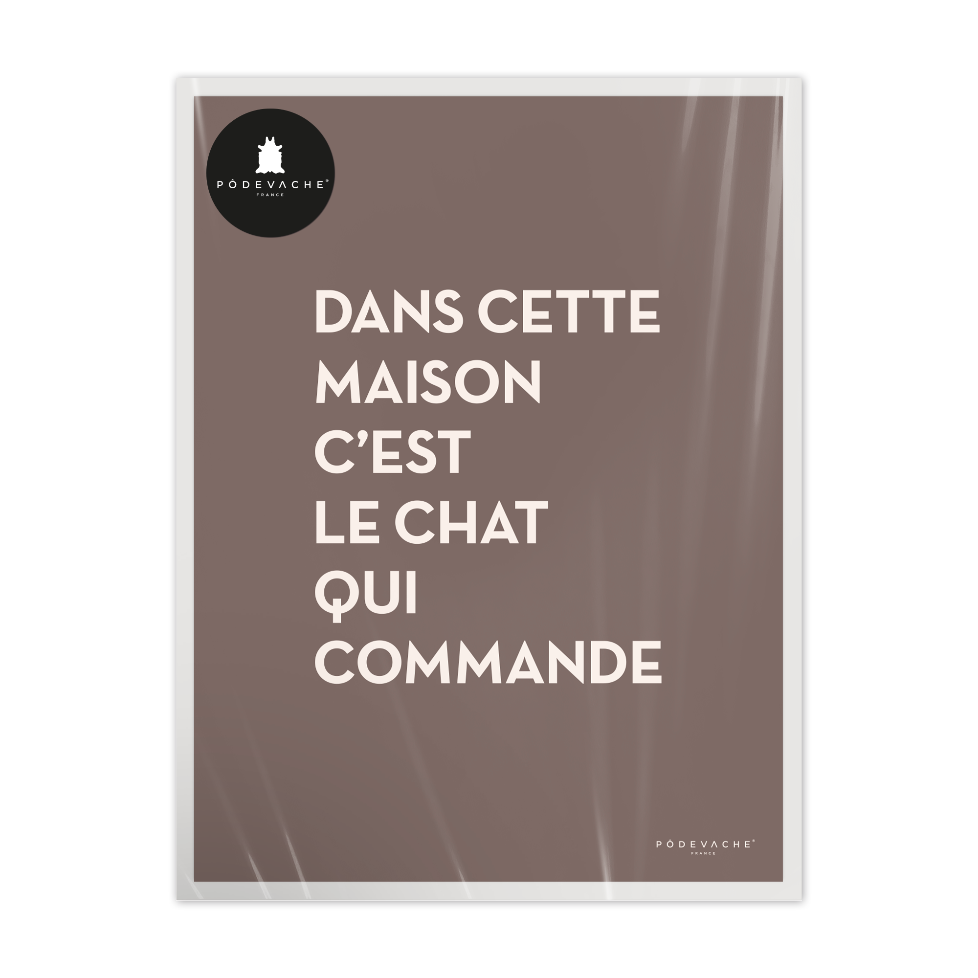 Affiche ou affiche encadrée Chat