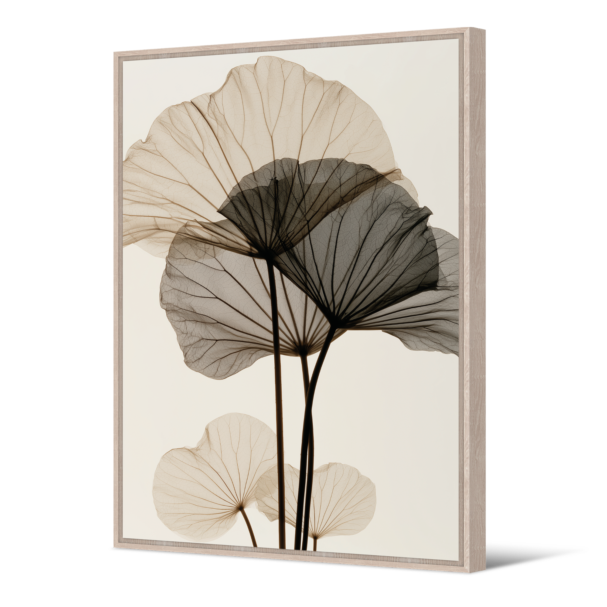 Tableau Nelumbo