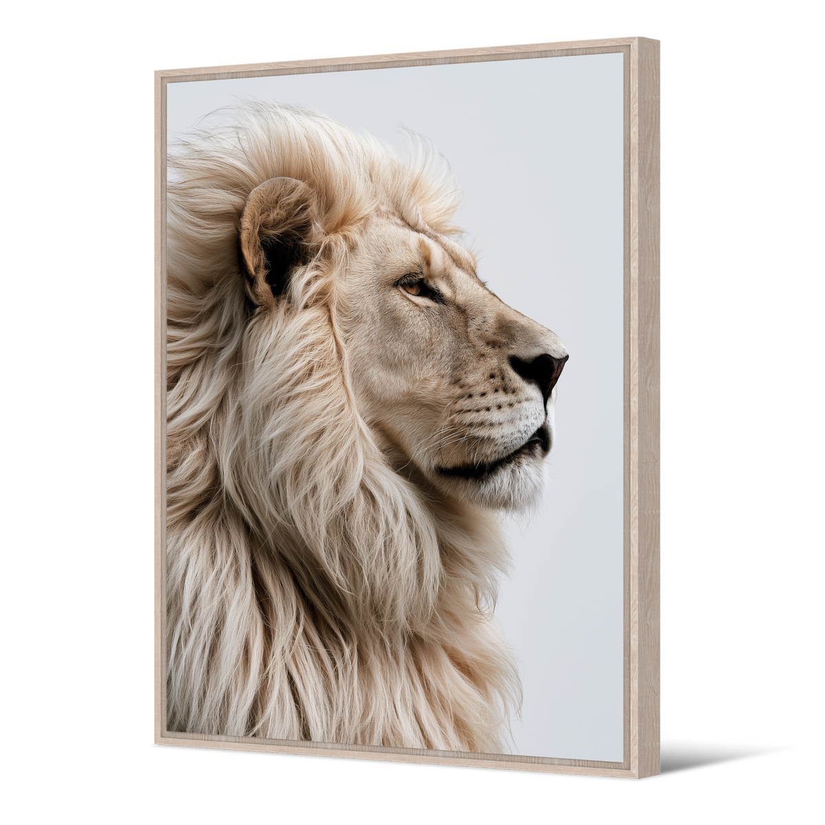 Tableau Aslan
