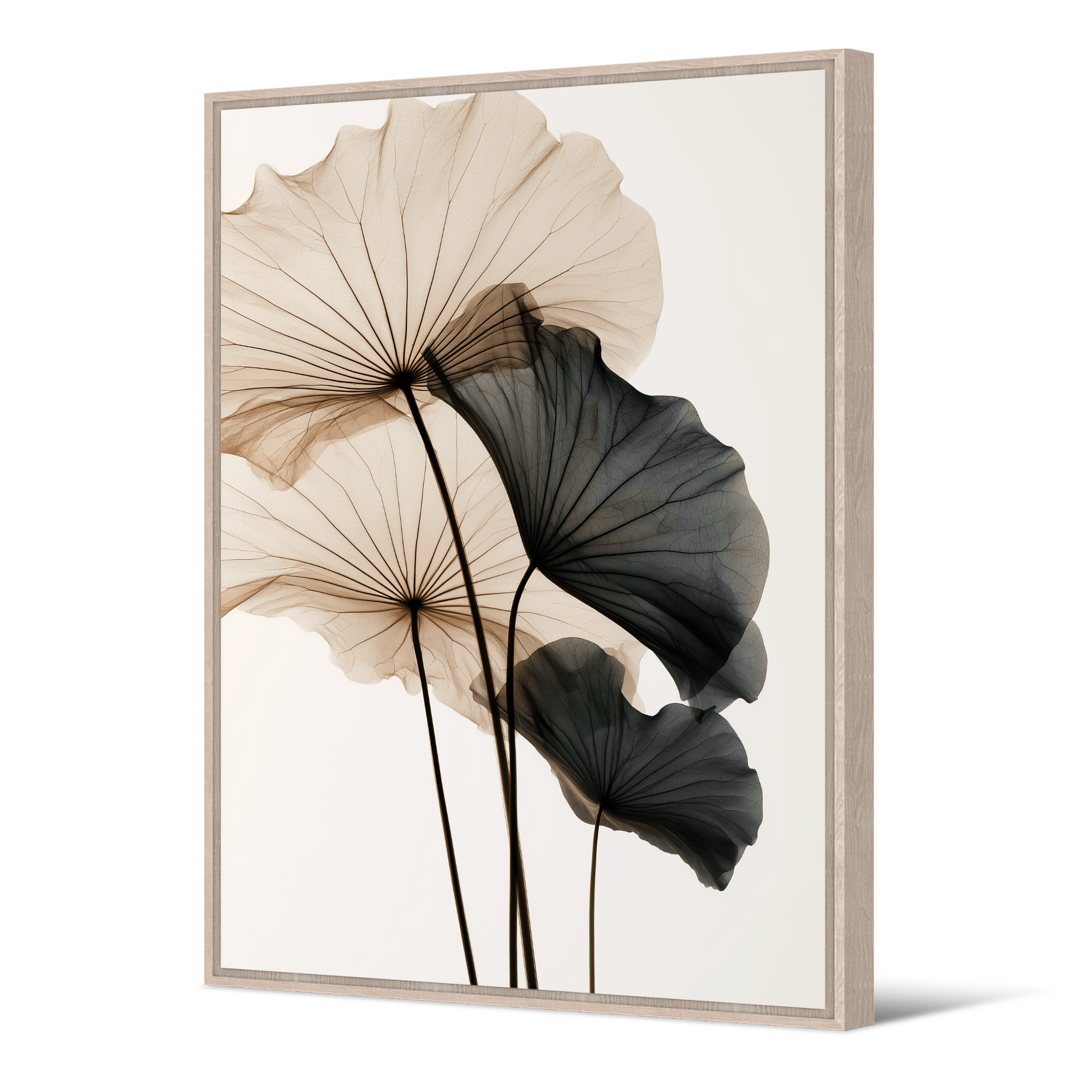 Tableau Nucifera