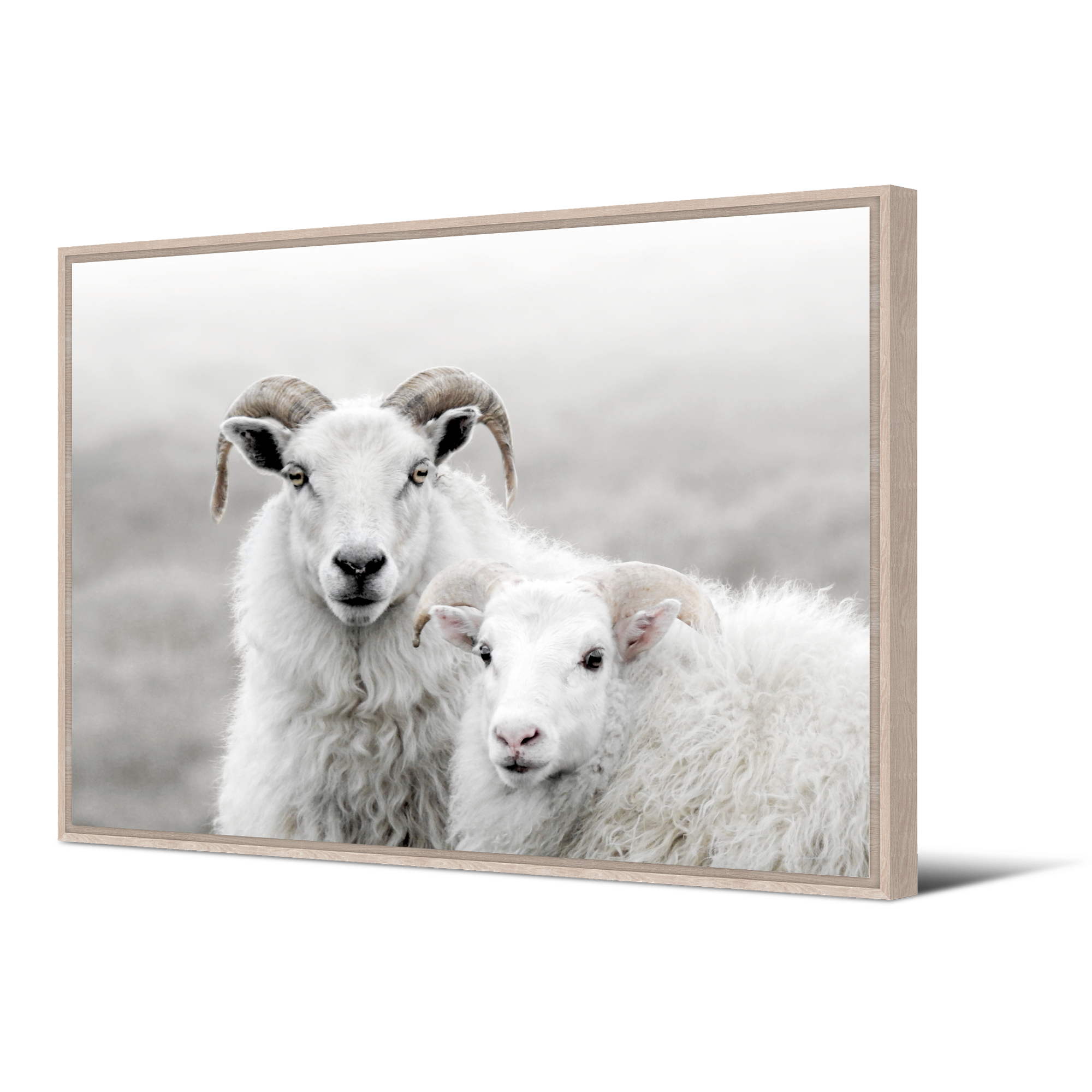 Band of Wolves Painting