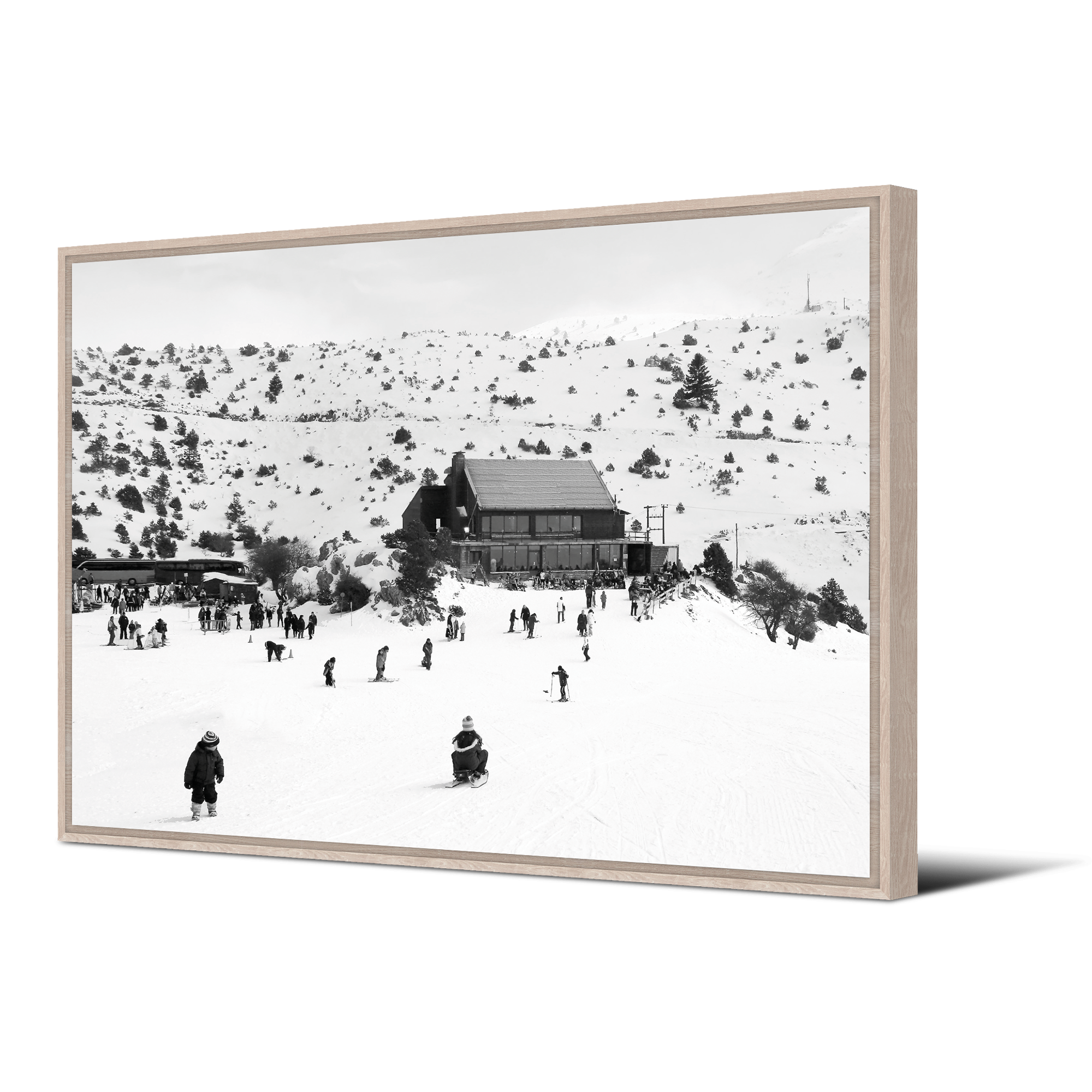 Band of Wolves Painting