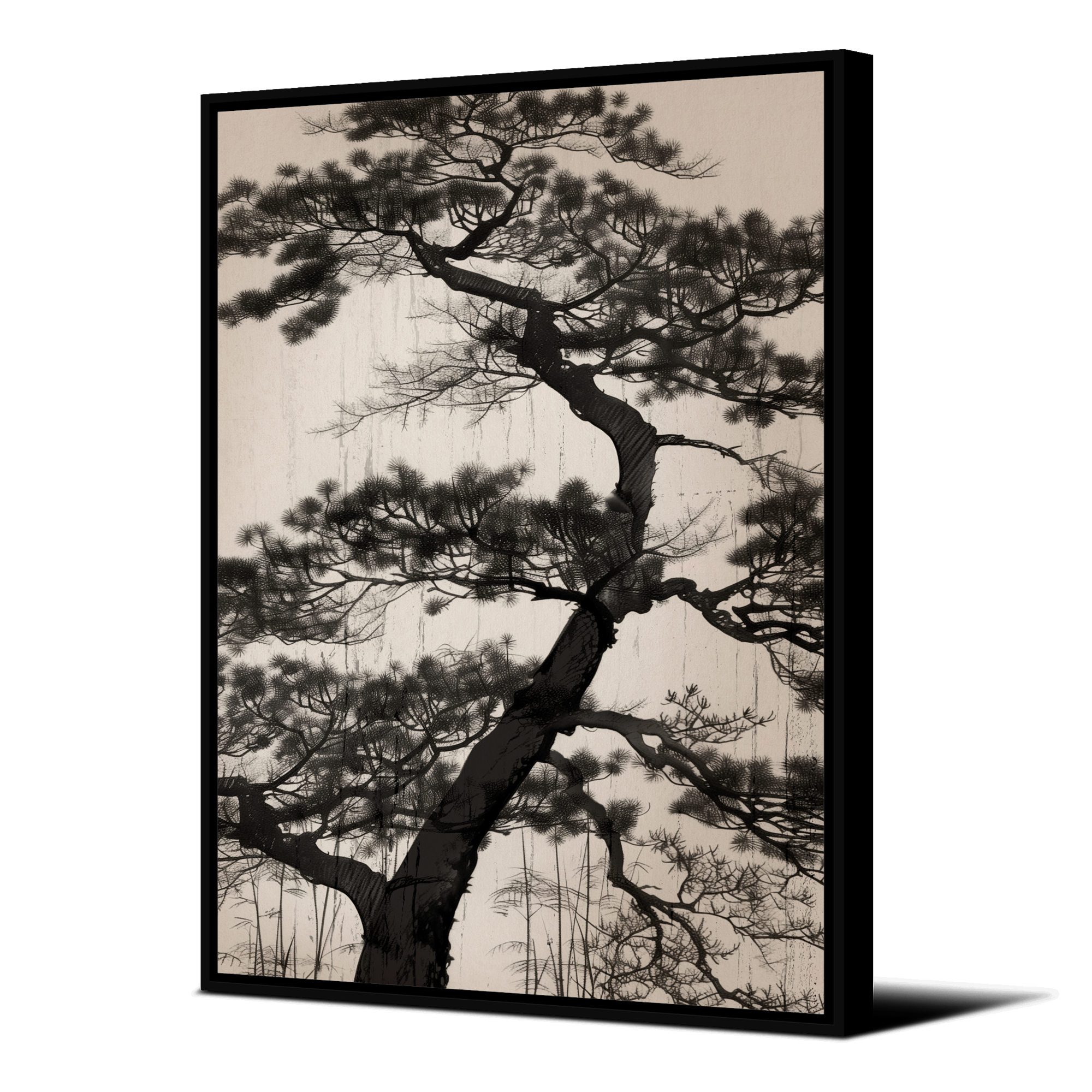 Tableau Jungle Daintree