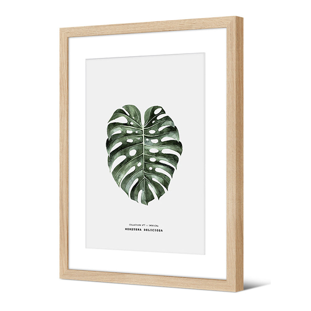 monstera picture frame Framed picture Monstera design - 100% Made In France