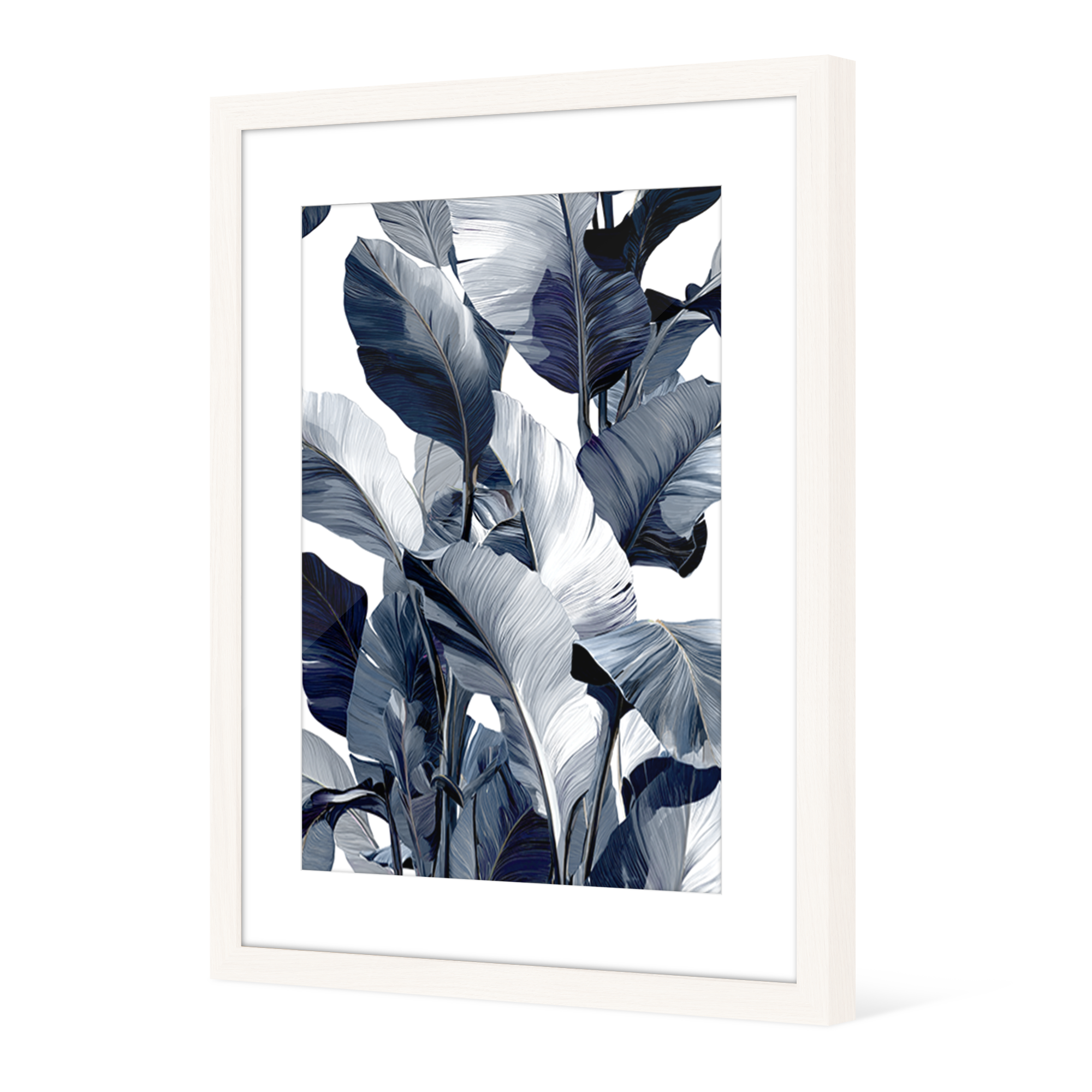 Image encadrée Elanofissi