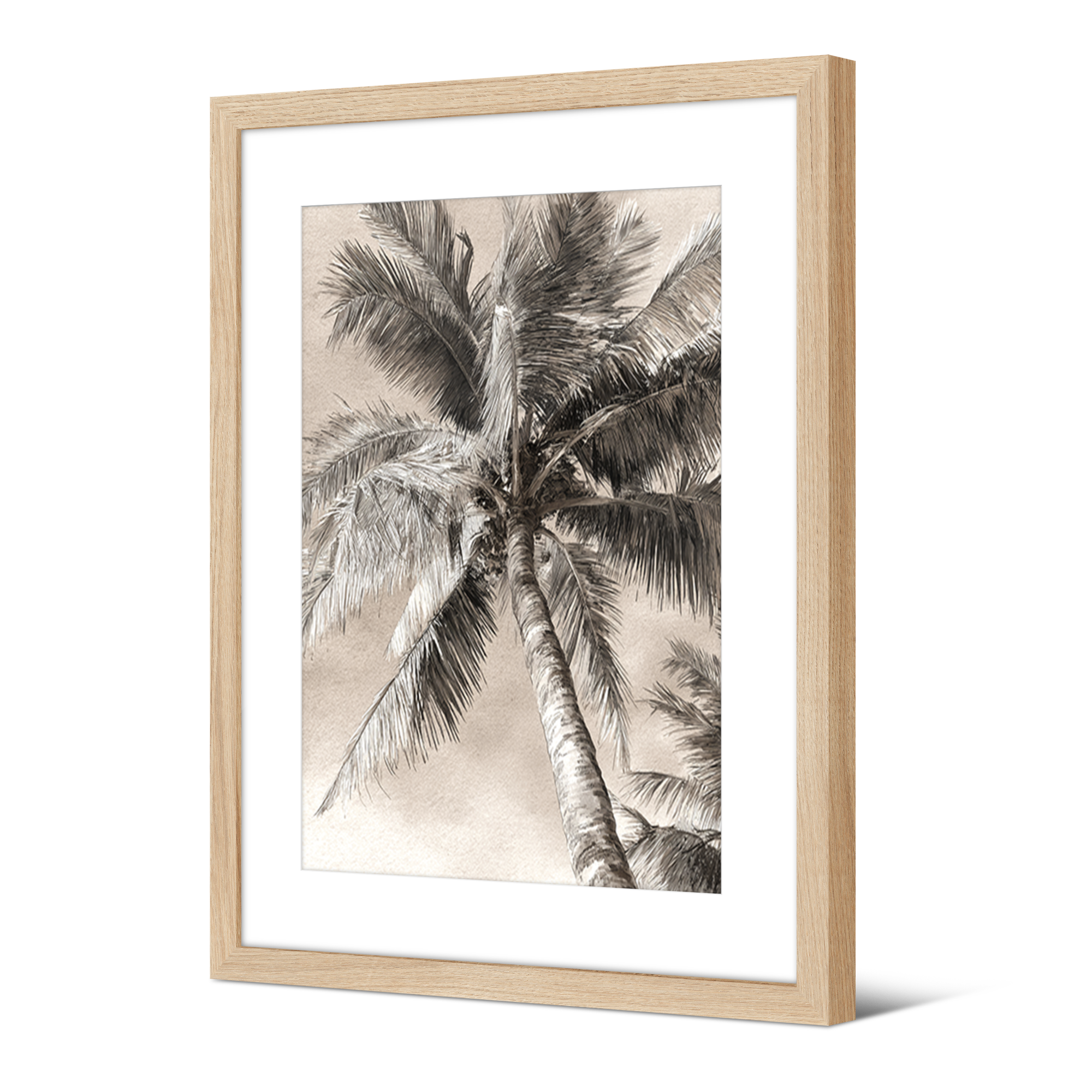 Image encadrée Tulsi