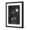 Image encadrée Giraffa
