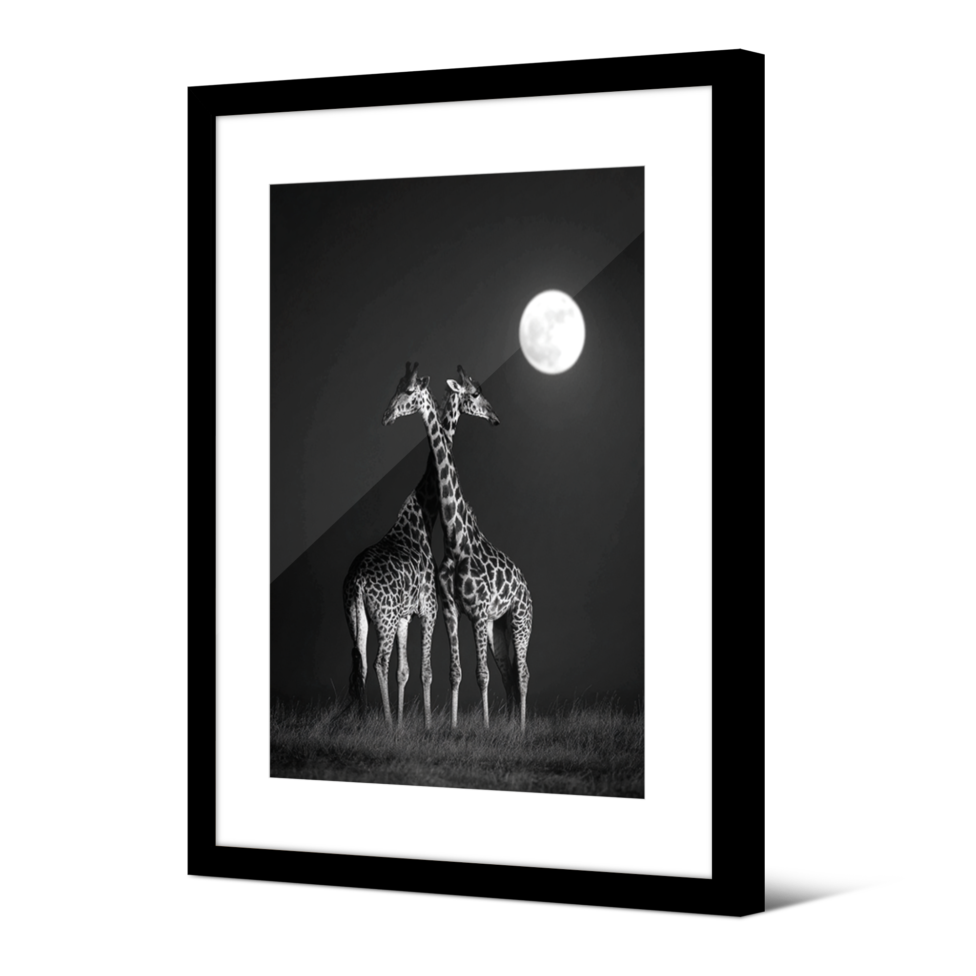 Image encadrée Giraffa