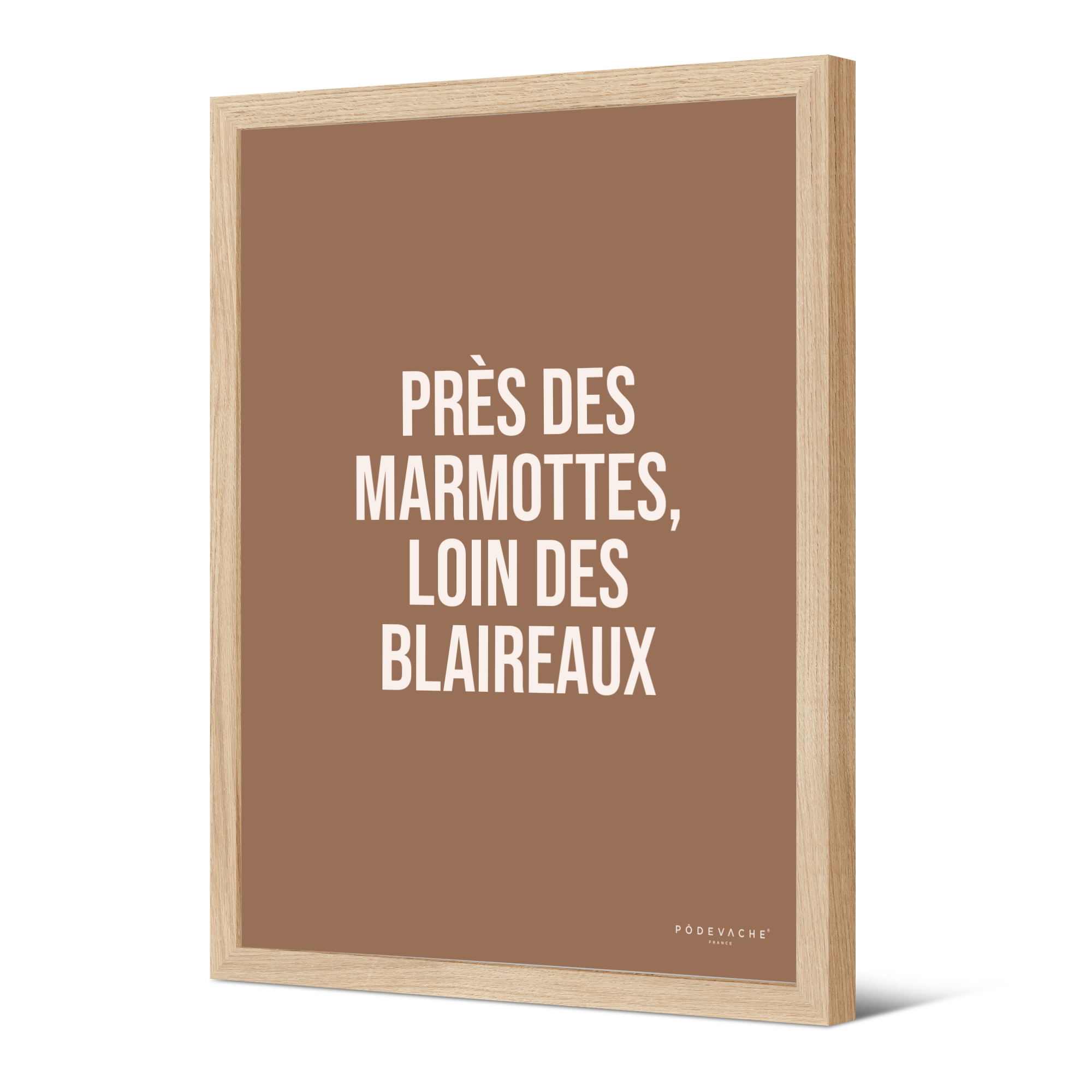 Affiche ou affiche encadrée Marmotte