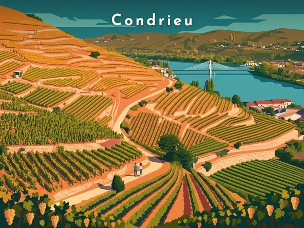 Vignoble en terrasses sur le Rhône — Pôdevache, visuel seul