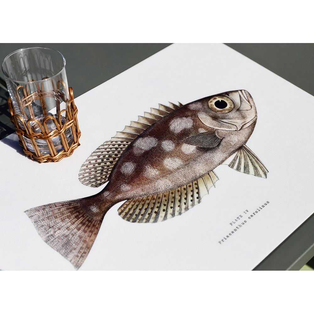 L'imprimé poisson de ce set de table aux couleurs vintage donnera un style tendance à votre décoration de table ! Vous serez vite charmé par ses couleurs élégantes qui ajouteront à votre table une touche chic et épurée.