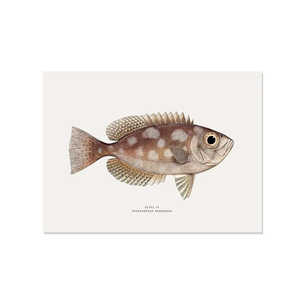 L'imprimé poisson de ce set de table aux couleurs vintage donnera un style tendance à votre décoration de table ! Vous serez vite charmé par ses couleurs élégantes qui ajouteront à votre table une touche chic et épurée.