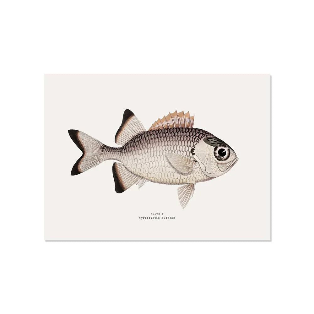 L'imprimé poisson de ce set de table aux couleurs rétro donnera un style tendance à votre décoration de table !