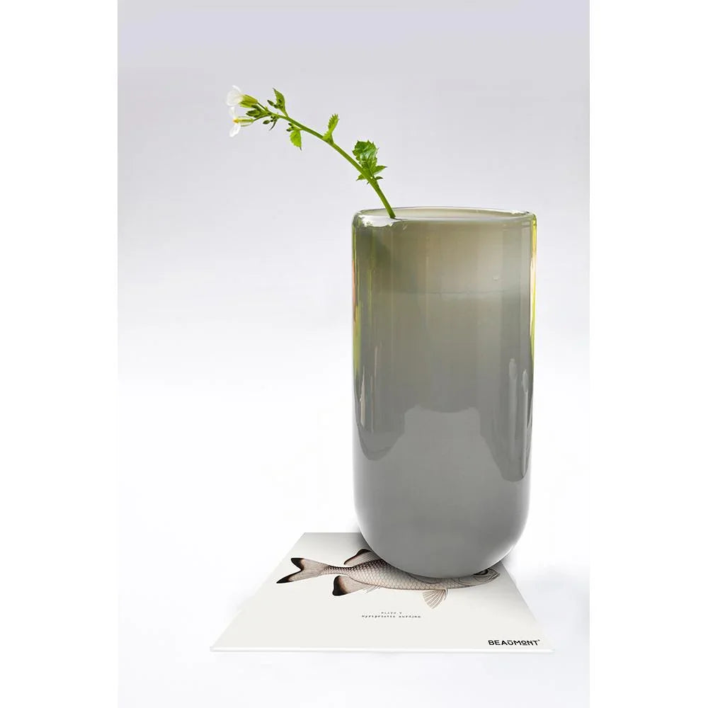 Lot de 6 dessous de verre vinyle Myripristis