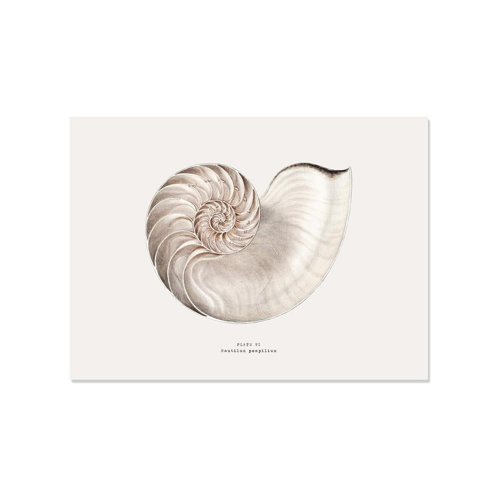 Ce set de table dans les tons de beiges et de marrons vous transportera en mer avec style et apportera de la tendance à votre décoration de table ! Vous serez vite charmé par ses couleurs élégantes qui ajouteront à votre table une touche chic et épurée.