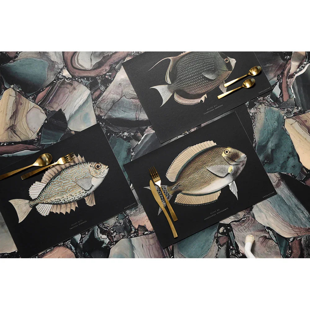 Set de table vinyle Curiosity