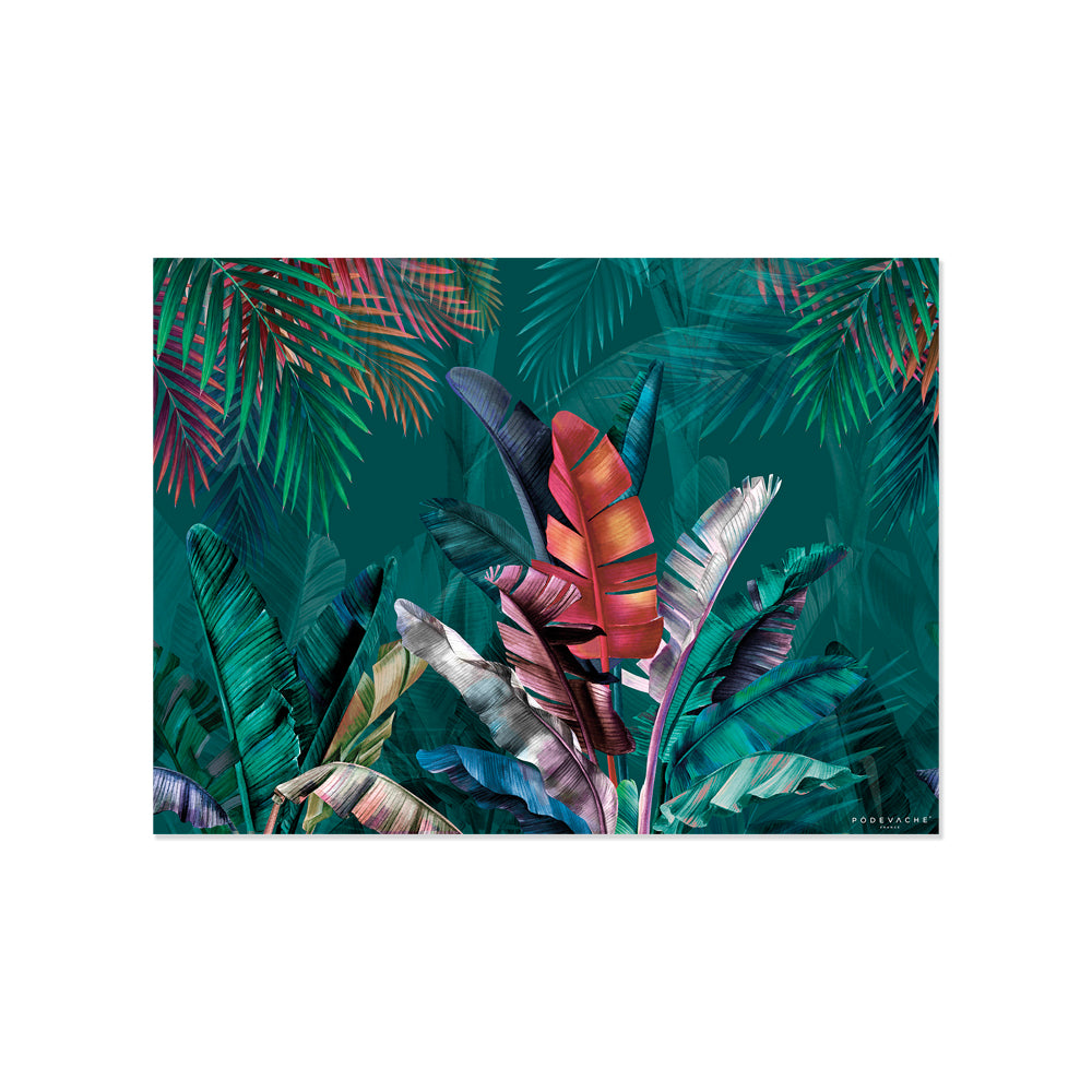 Set de table vinyle Maraba