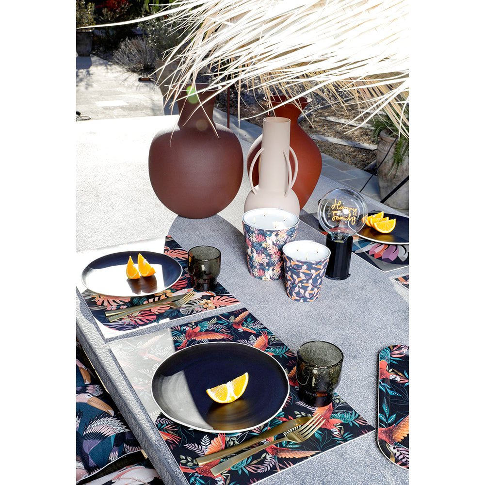 Set de table vinyle Merida