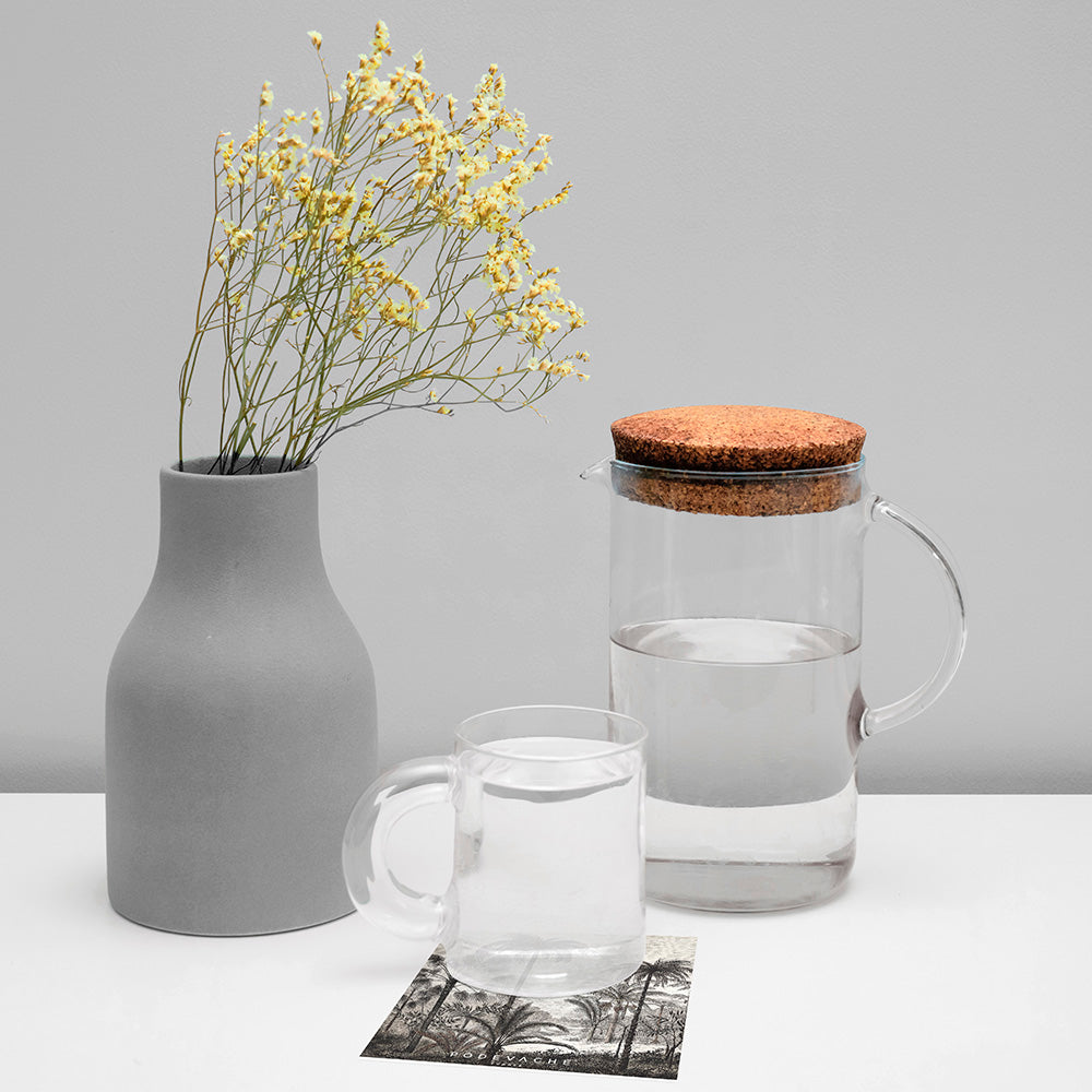 Lot de 6 dessous de verre vinyle Amazonia